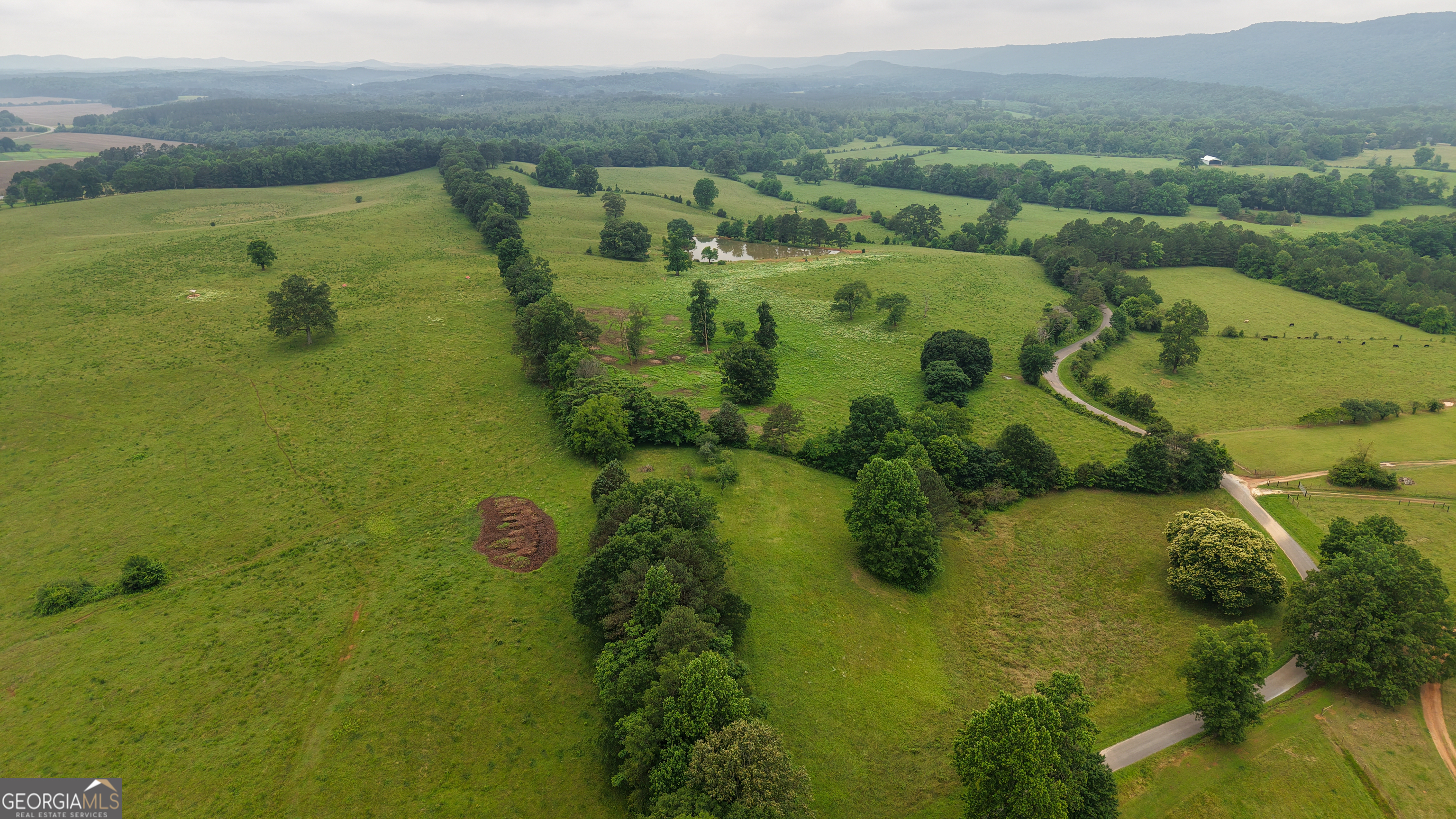 0 Co Road Gaylesville, AL 35973 - Photo 45 of 81