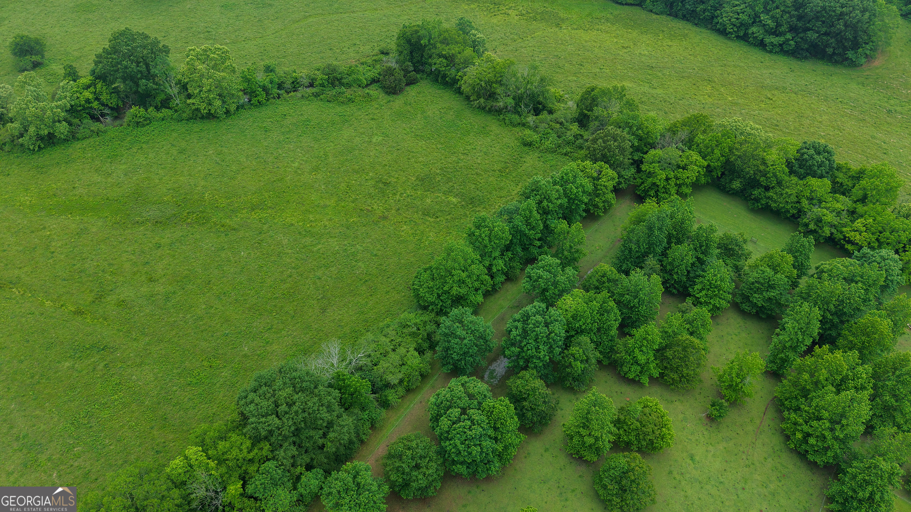 0 Co Road Gaylesville, AL 35973 - Photo 48 of 81