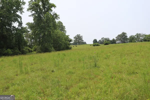 a view of a field with trees in the background