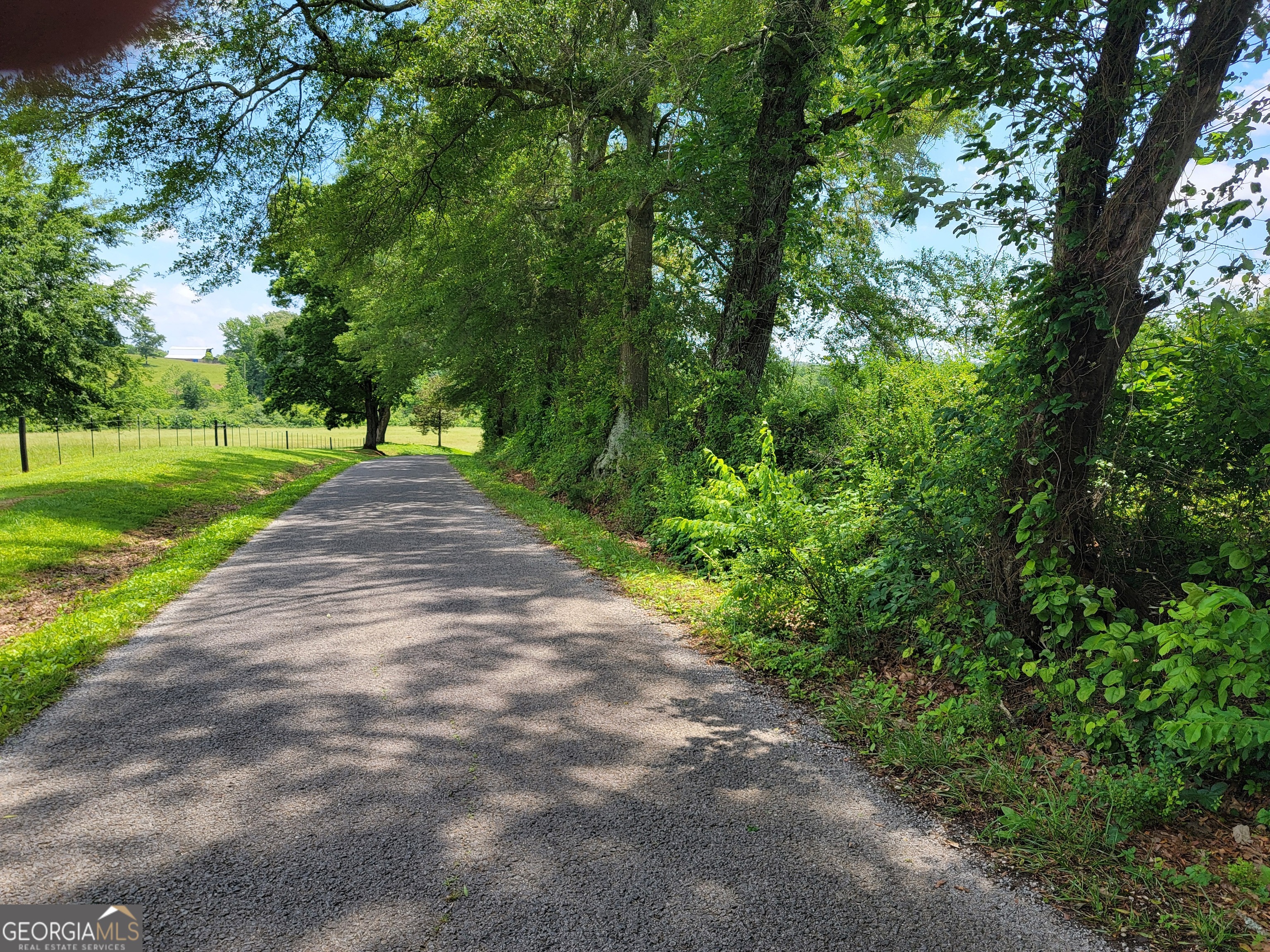 0 Co Road Gaylesville, AL 35973 - Photo 5 of 81