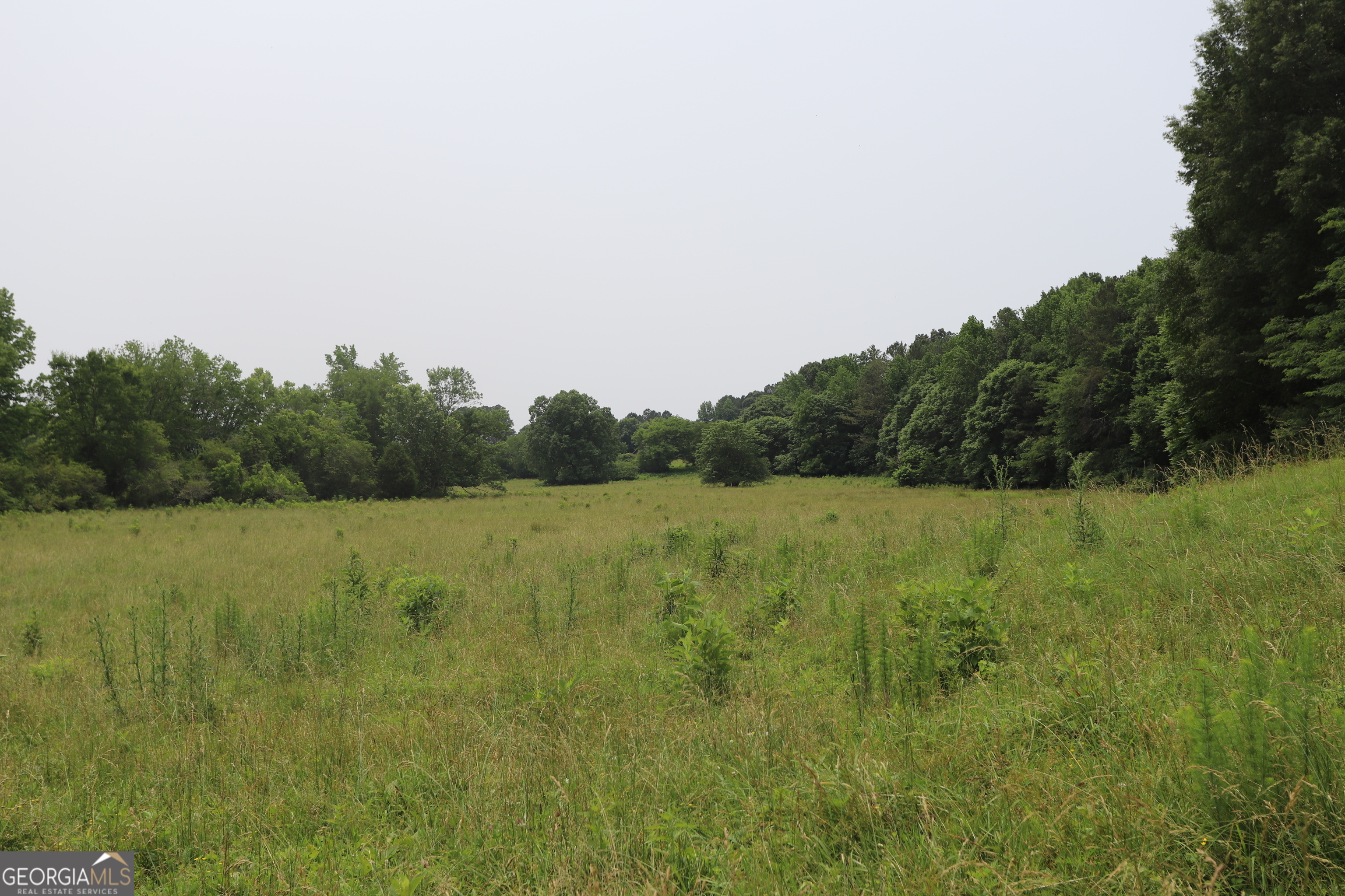 0 Co Road Gaylesville, AL 35973 - Photo 51 of 81 a view of a field of grass and trees