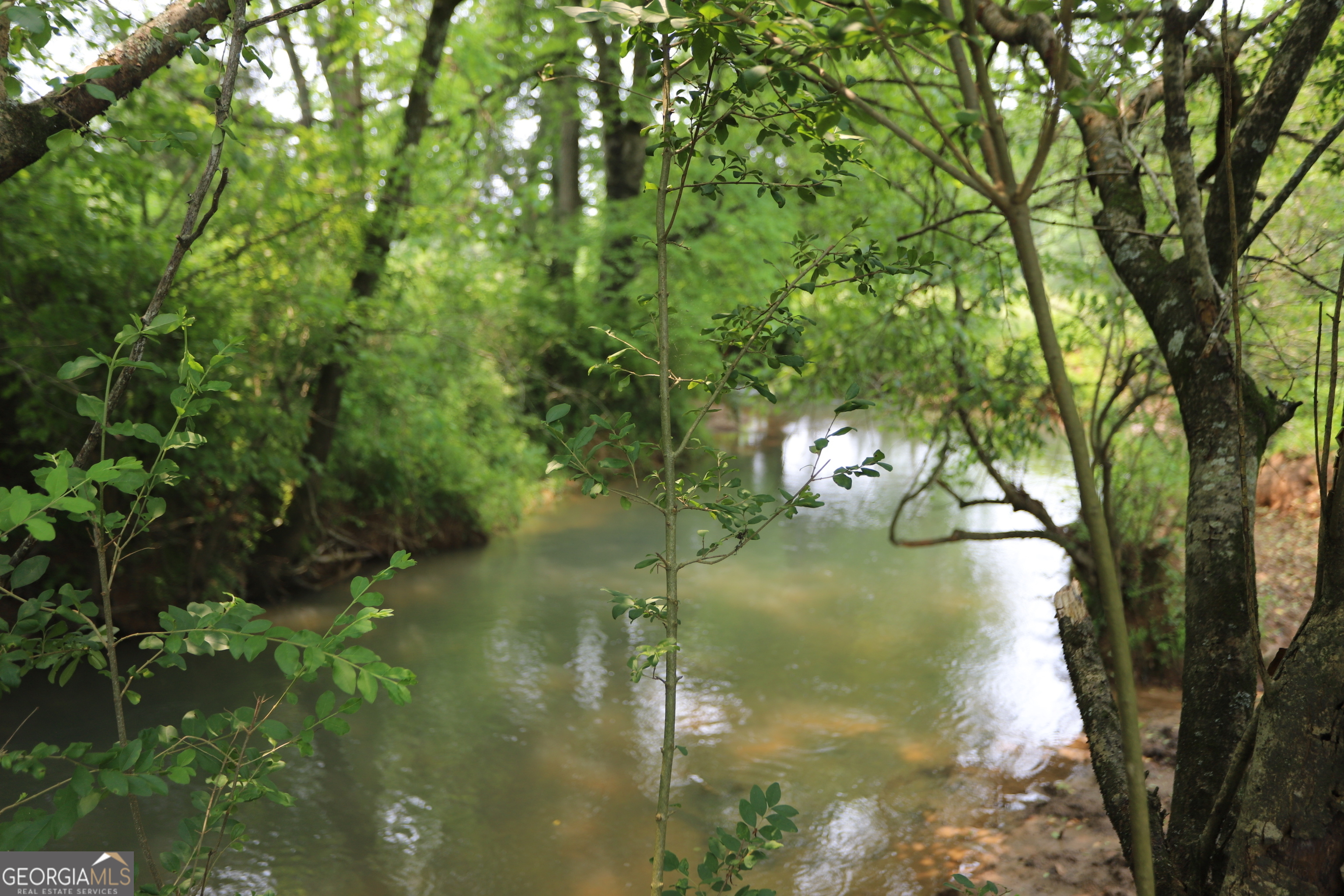 0 Co Road Gaylesville, AL 35973 - Photo 52 of 81