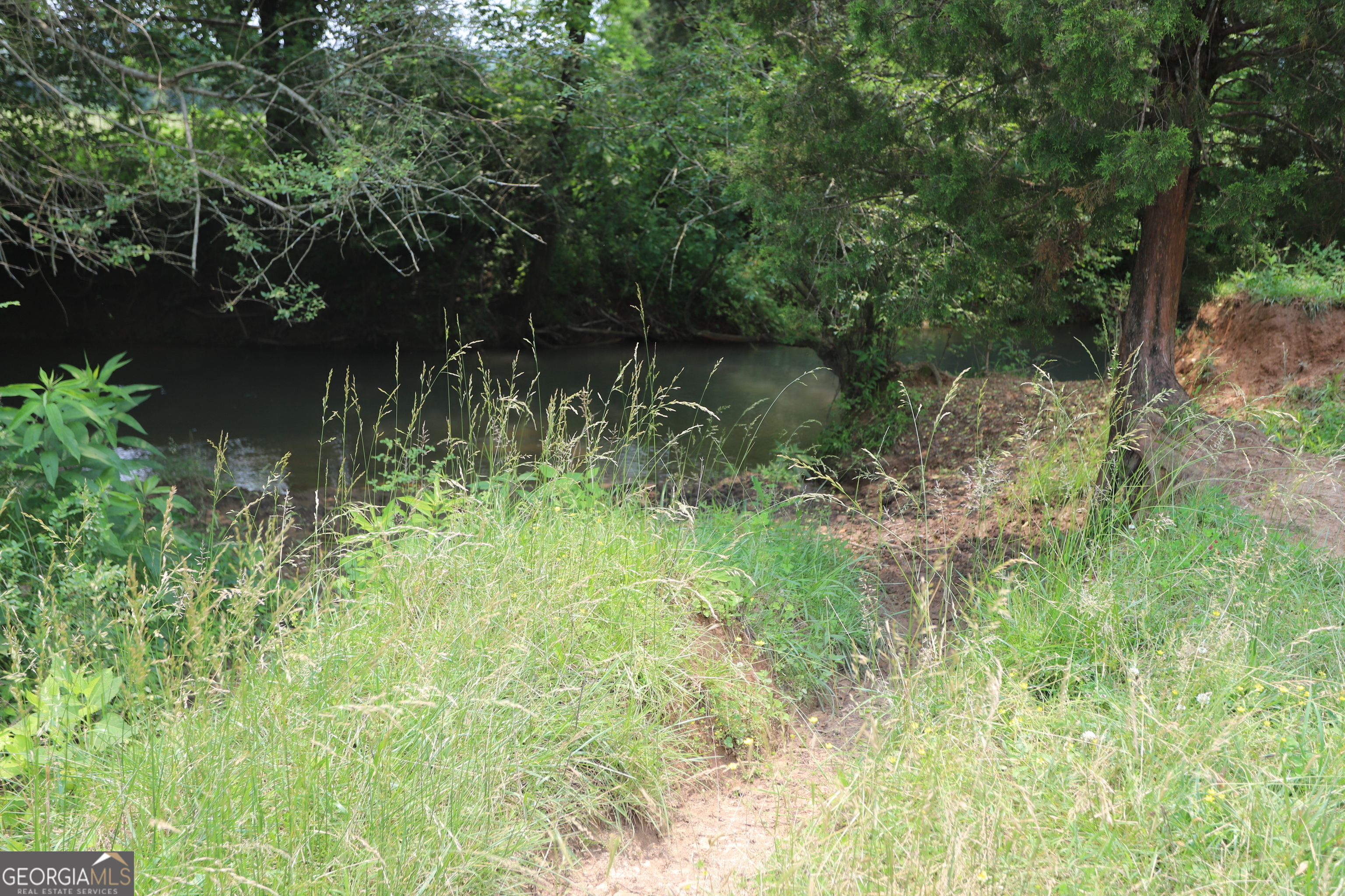 0 Co Road Gaylesville, AL 35973 - Photo 54 of 81 a view of a lake view with a garden
