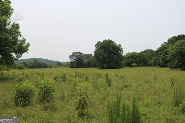 $850,000 | 0 Co Road, Gaylesville, AL 35973