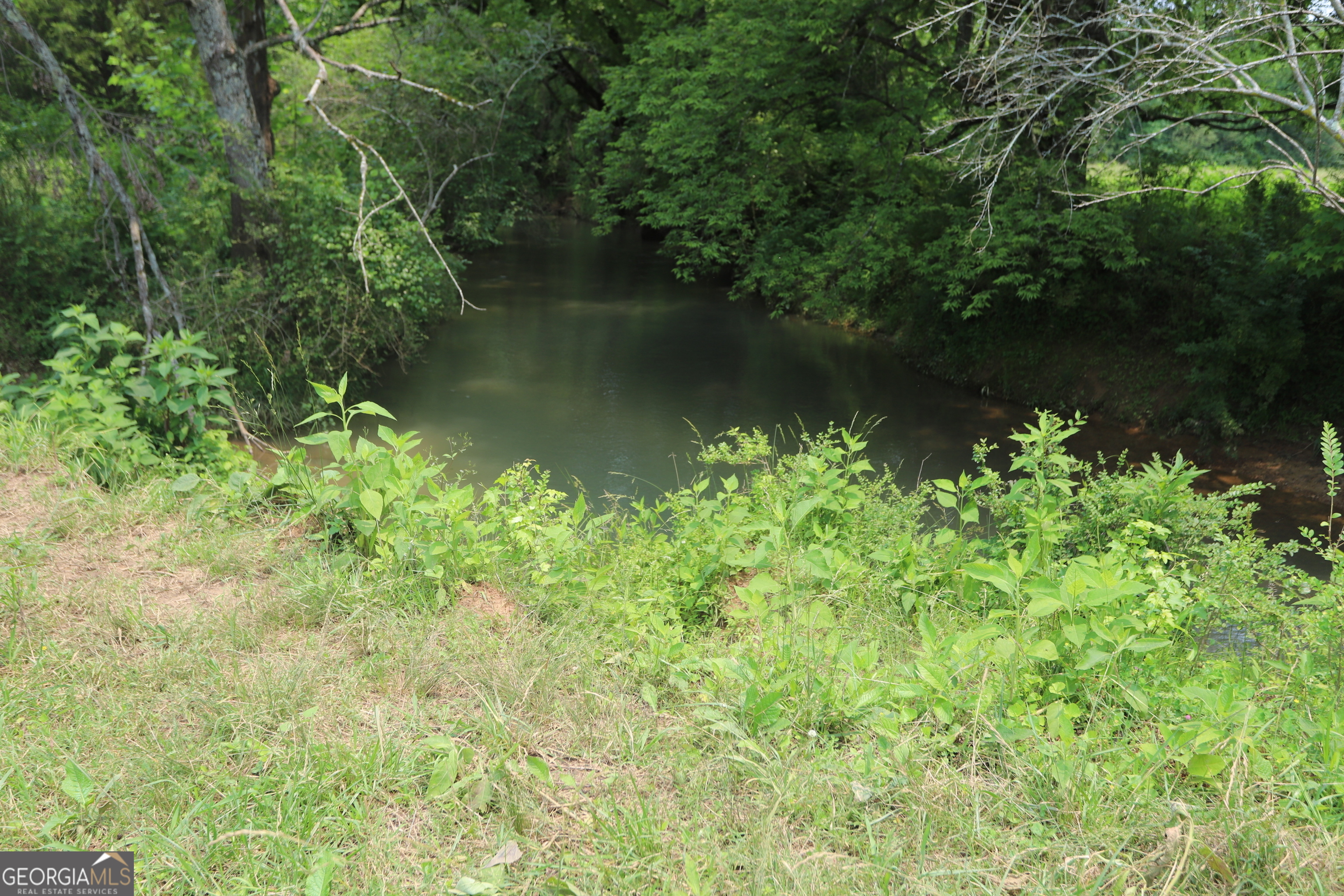 0 Co Road Gaylesville, AL 35973 - Photo 56 of 81 an aerial view of green landscape with trees houses and lake view