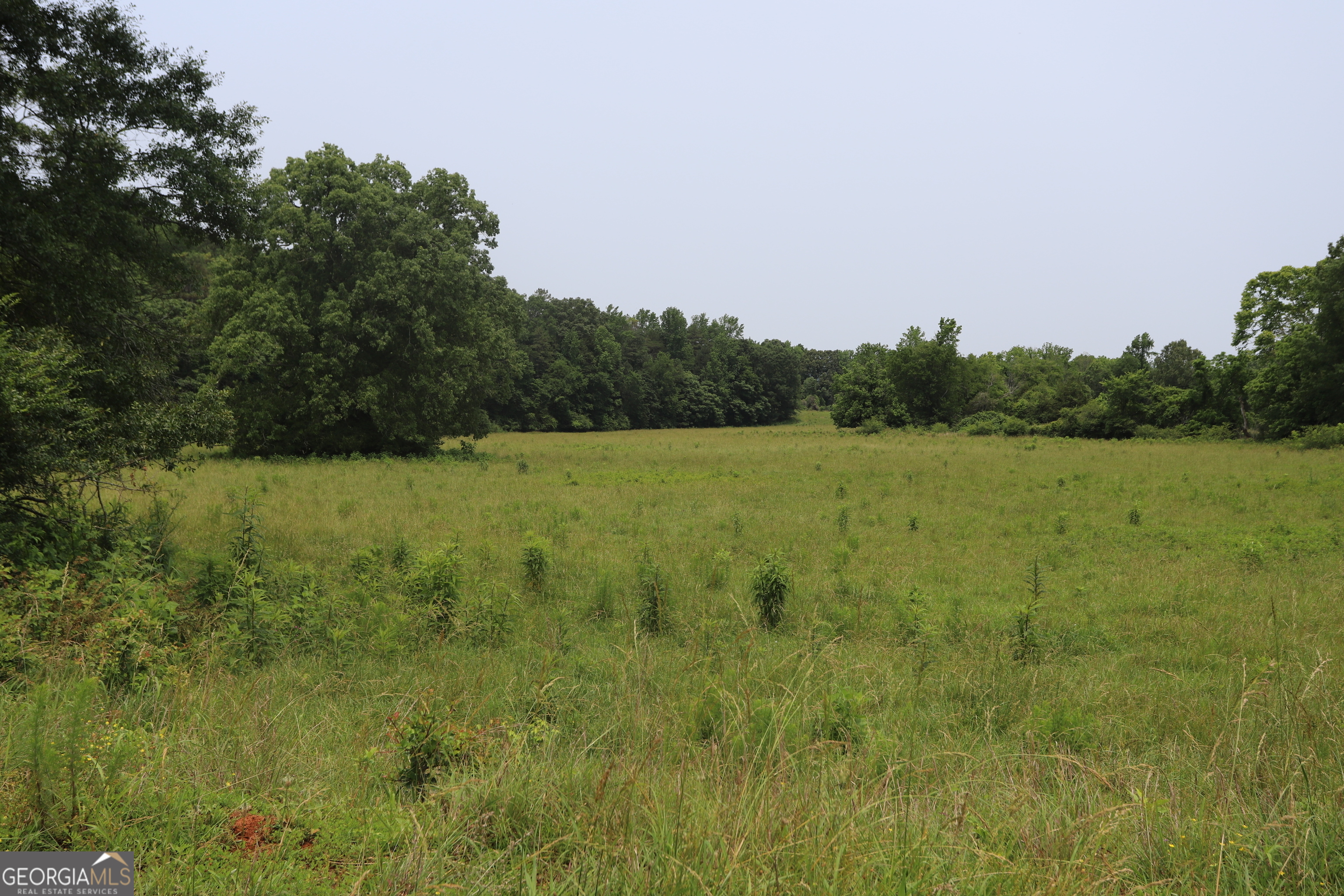 0 Co Road Gaylesville, AL 35973 - Photo 58 of 81 a view of a field with a tree in the background