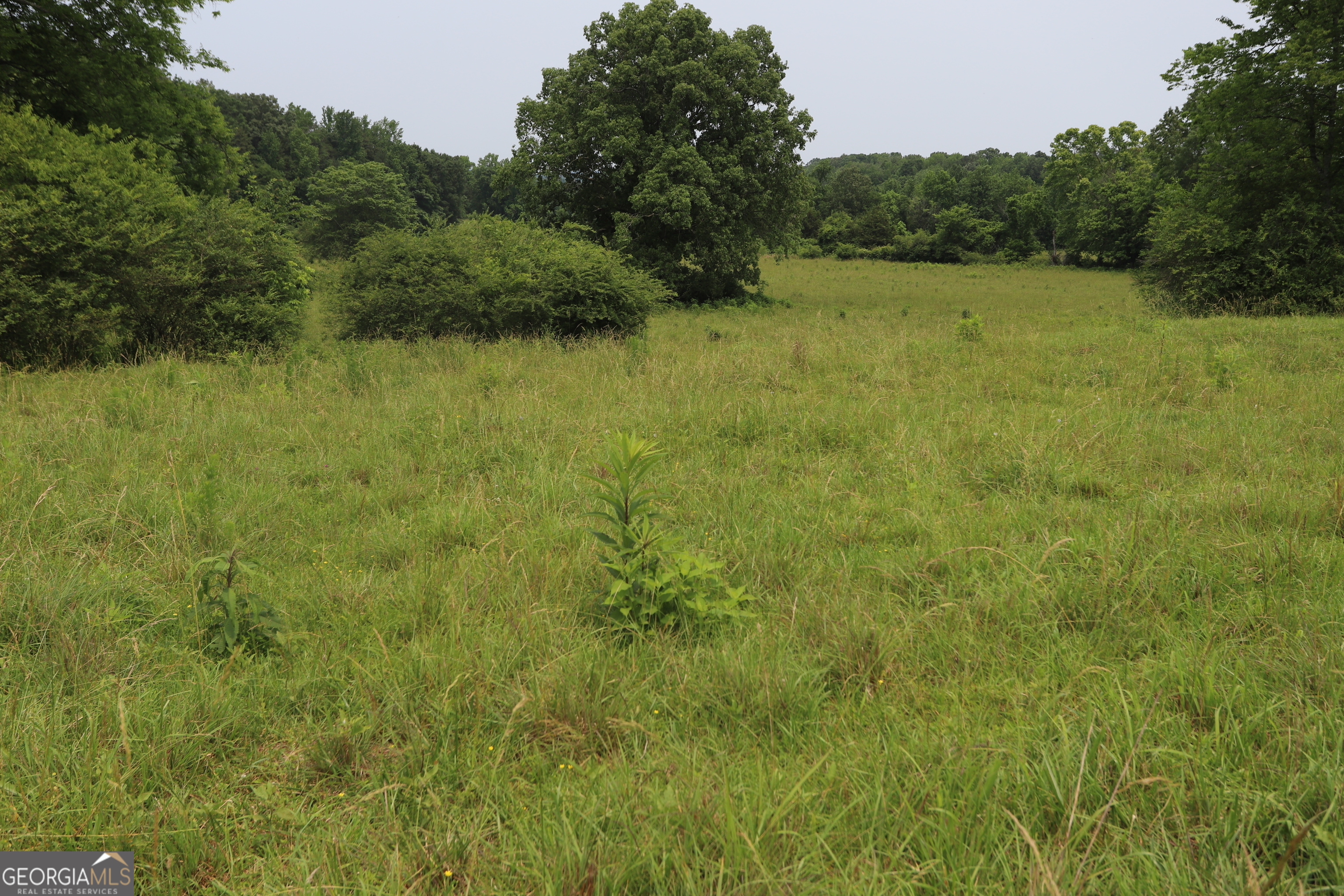 0 Co Road Gaylesville, AL 35973 - Photo 59 of 81