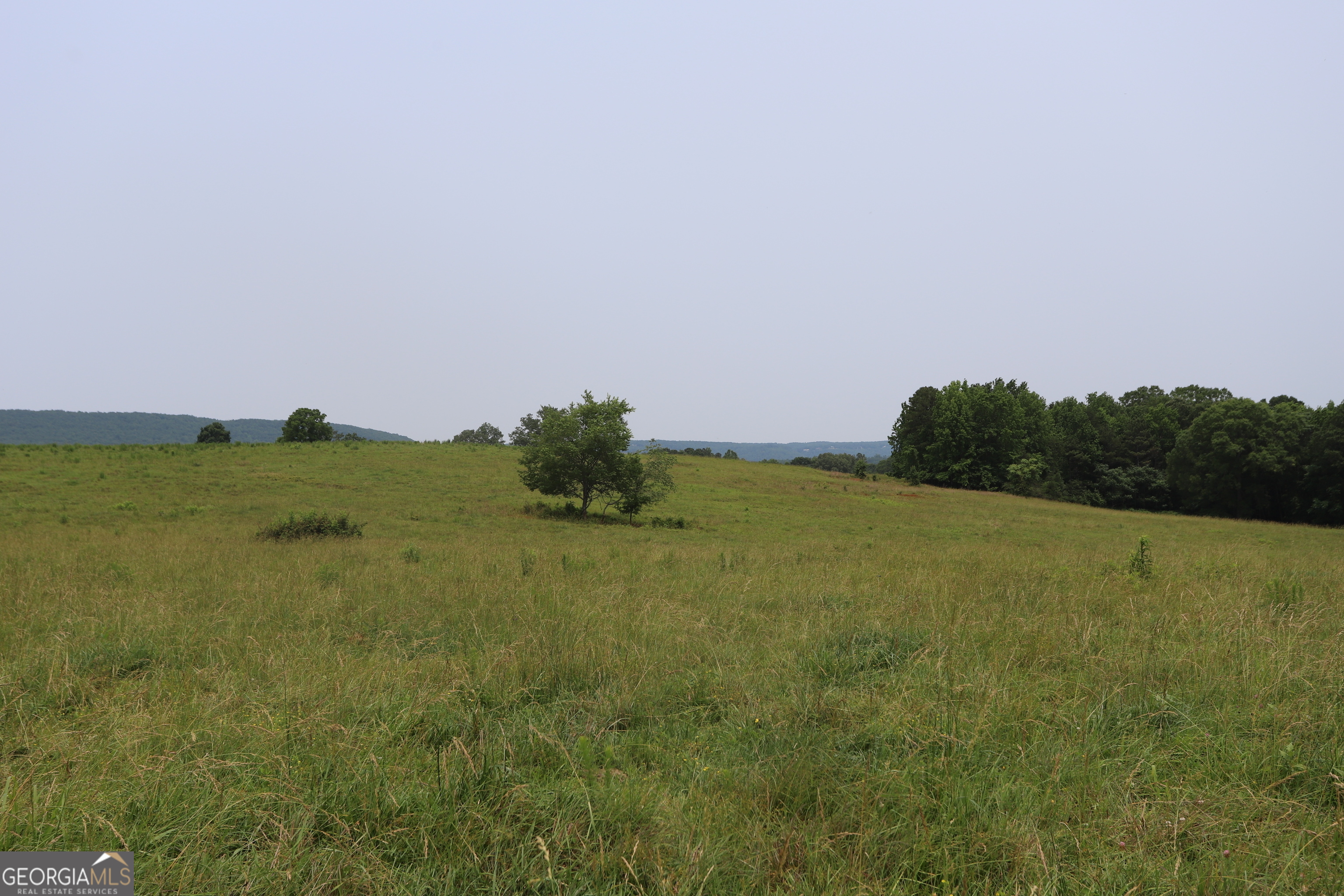 0 Co Road Gaylesville, AL 35973 - Photo 60 of 81 a view of a field with an ocean in back