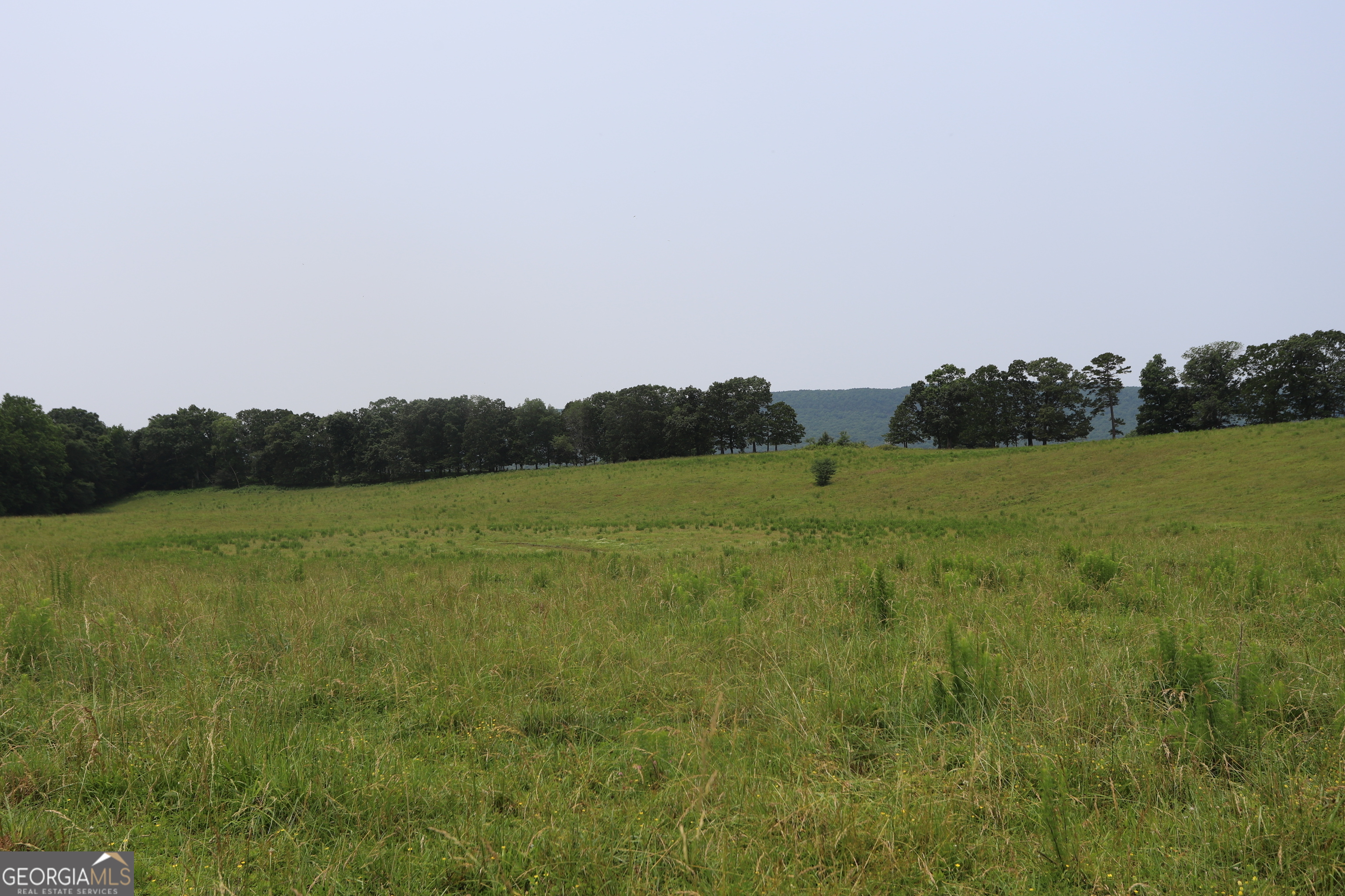 0 Co Road Gaylesville, AL 35973 - Photo 62 of 81 a view of a field with an ocean