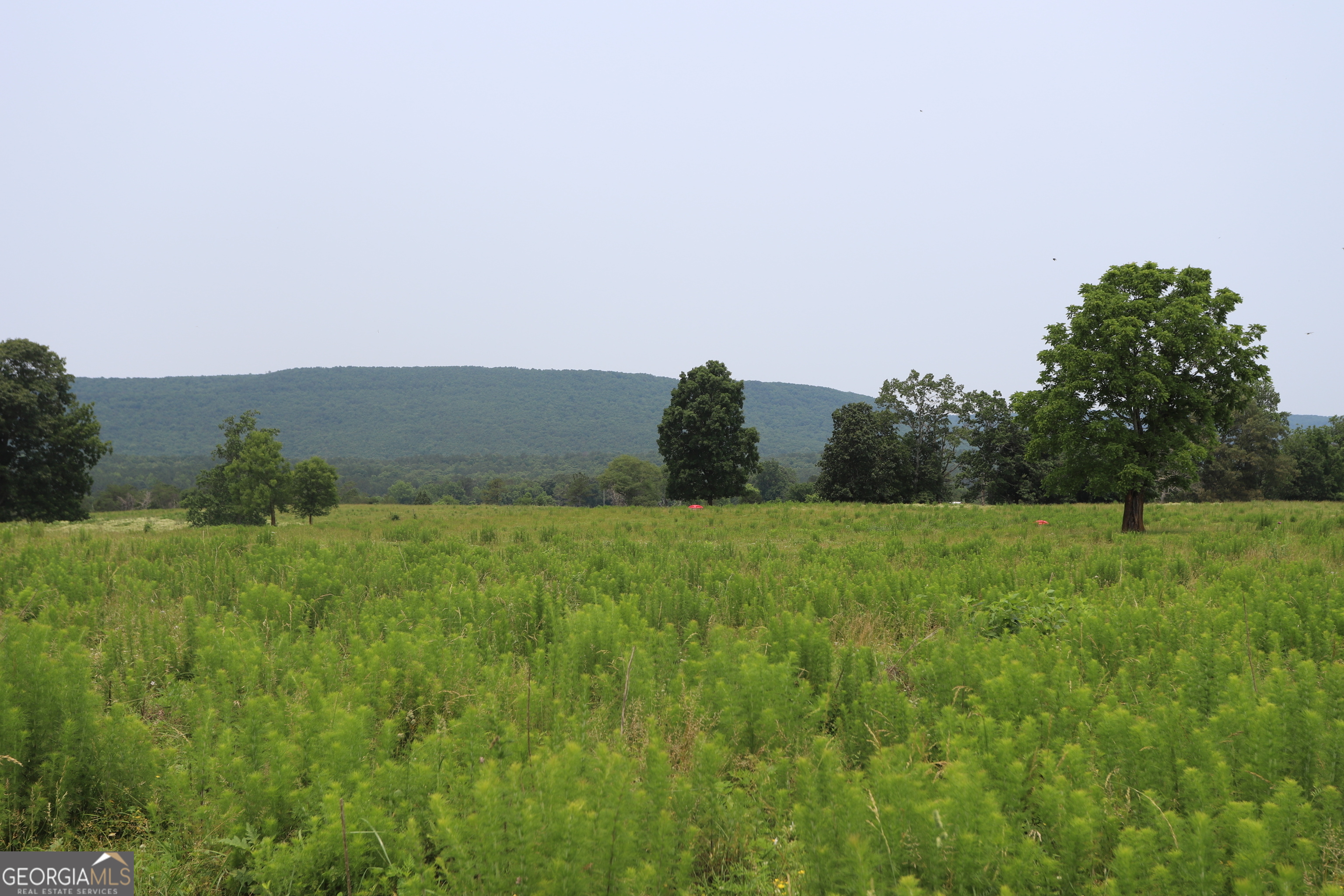 0 Co Road Gaylesville, AL 35973 - Photo 64 of 81