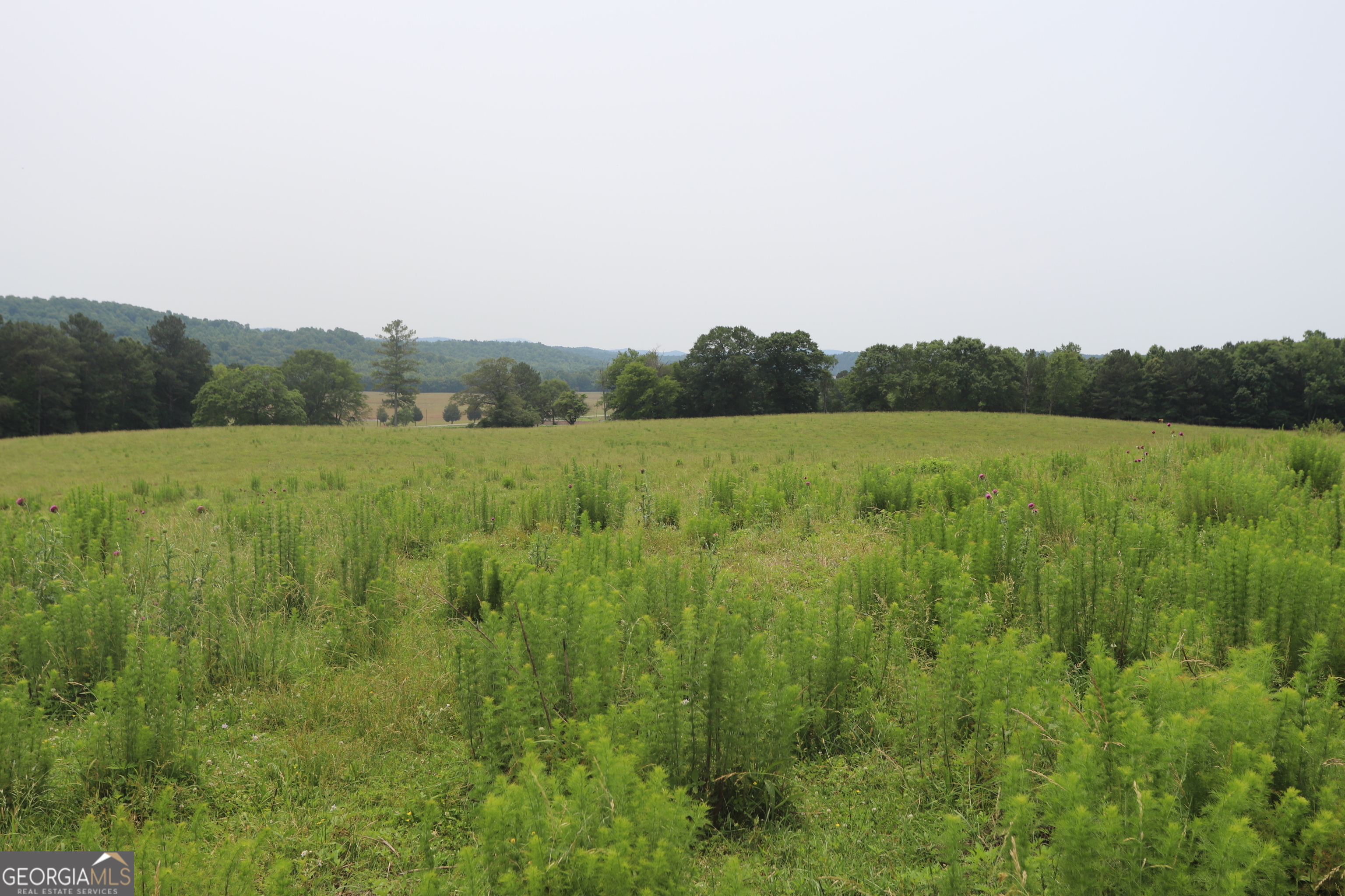0 Co Road Gaylesville, AL 35973 - Photo 67 of 81 a view of an green field and mountains