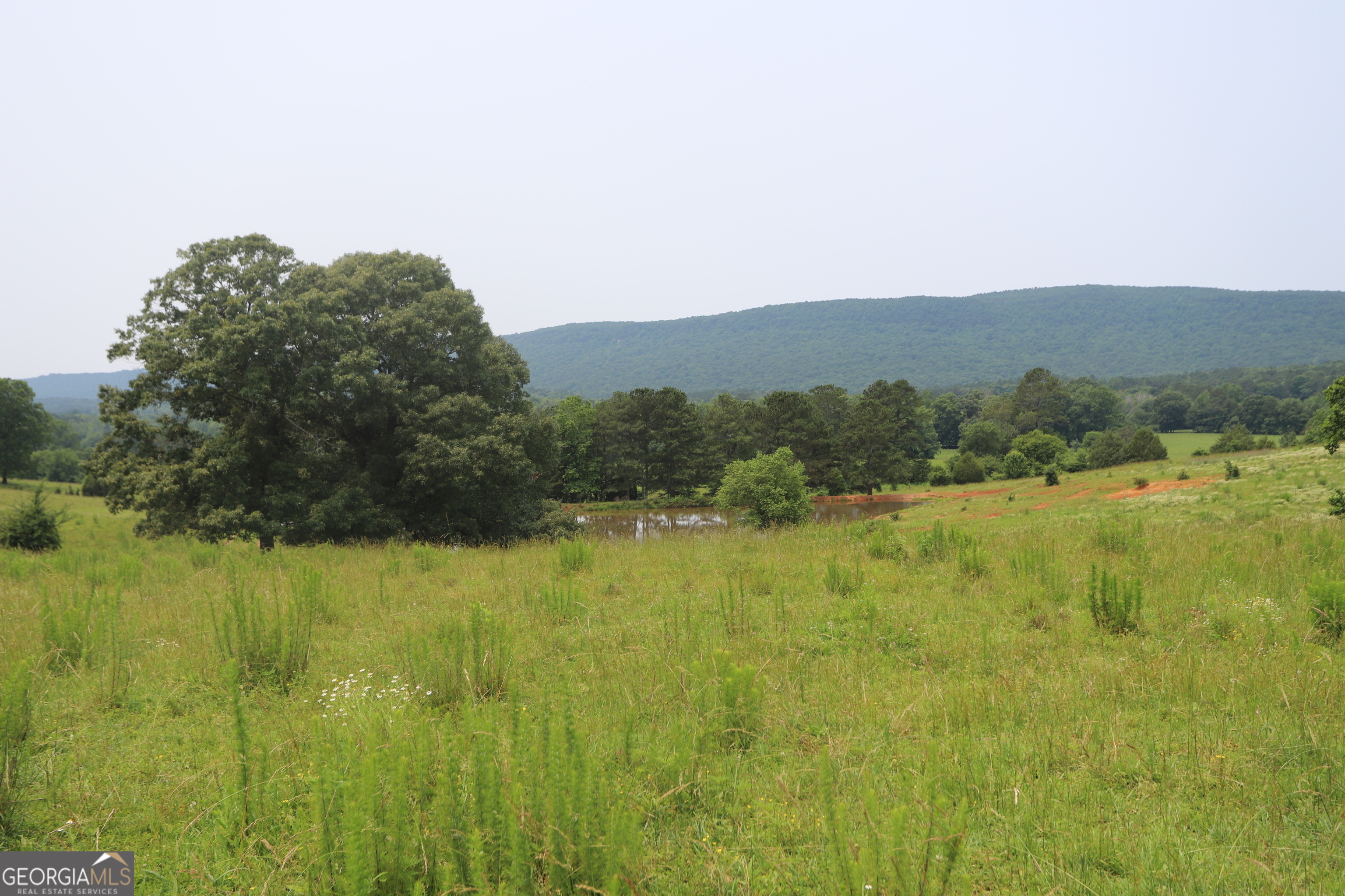 0 Co Road Gaylesville, AL 35973 - Photo 69 of 81 a view of a lake in middle of the town