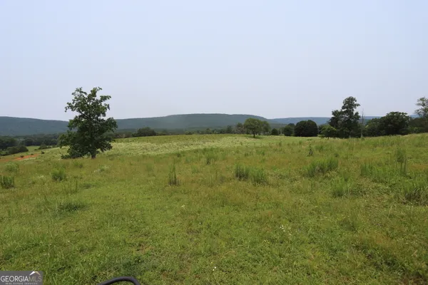 $850,000 | 0 Co Road, Gaylesville, AL 35973