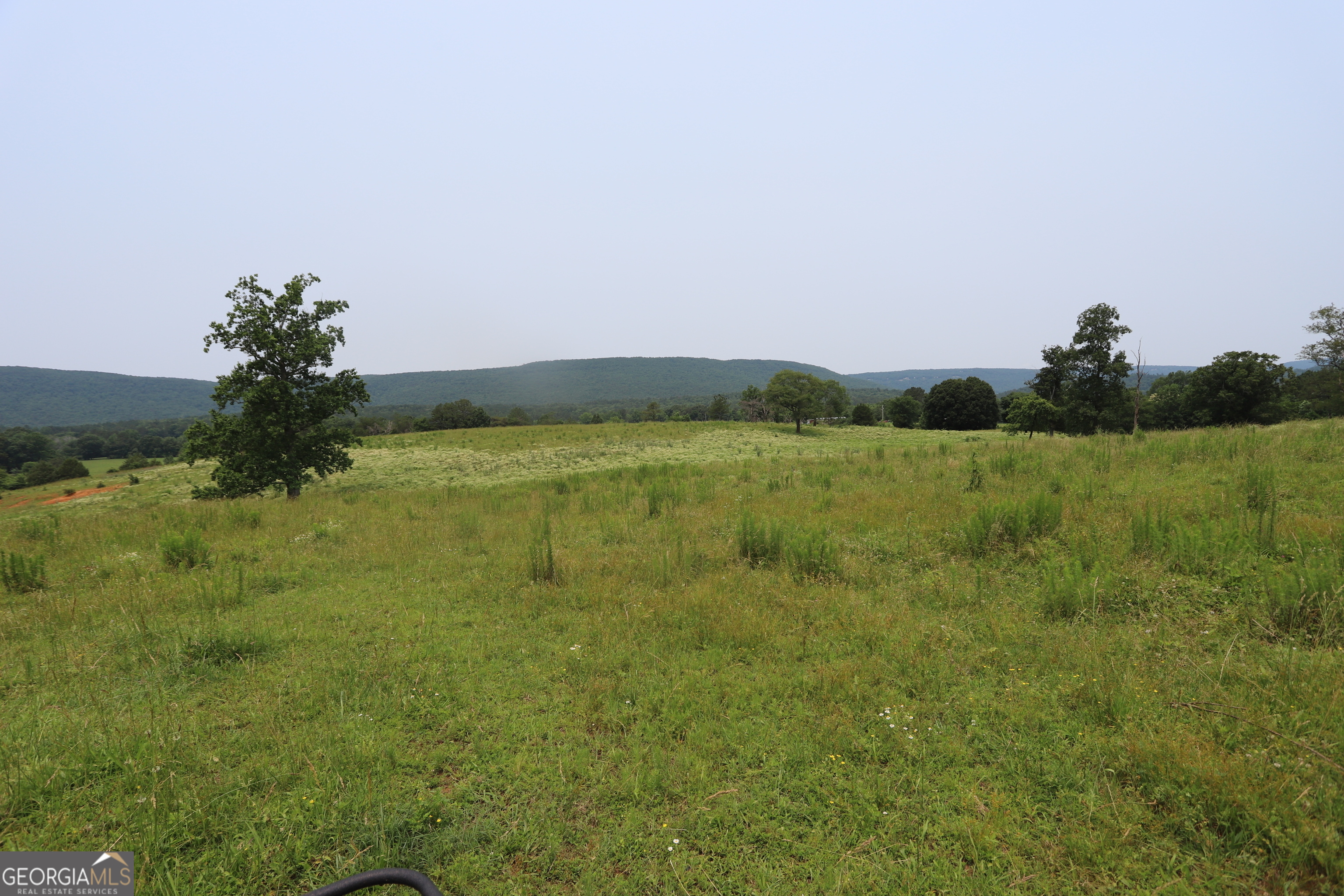 0 Co Road Gaylesville, AL 35973 - Photo 70 of 81 a view of a field with an ocean and trees in the background