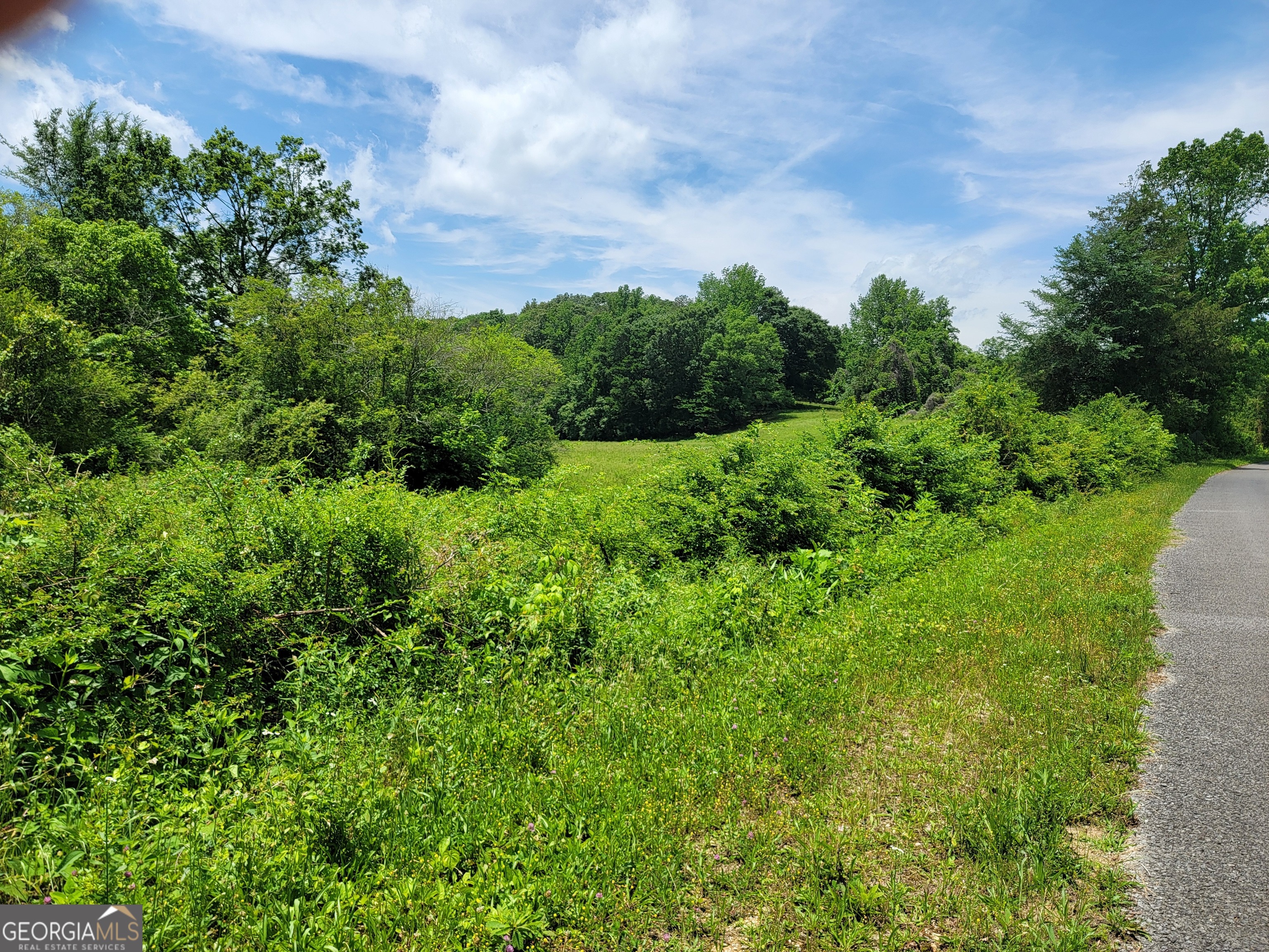 0 Co Road Gaylesville, AL 35973 - Photo 7 of 81