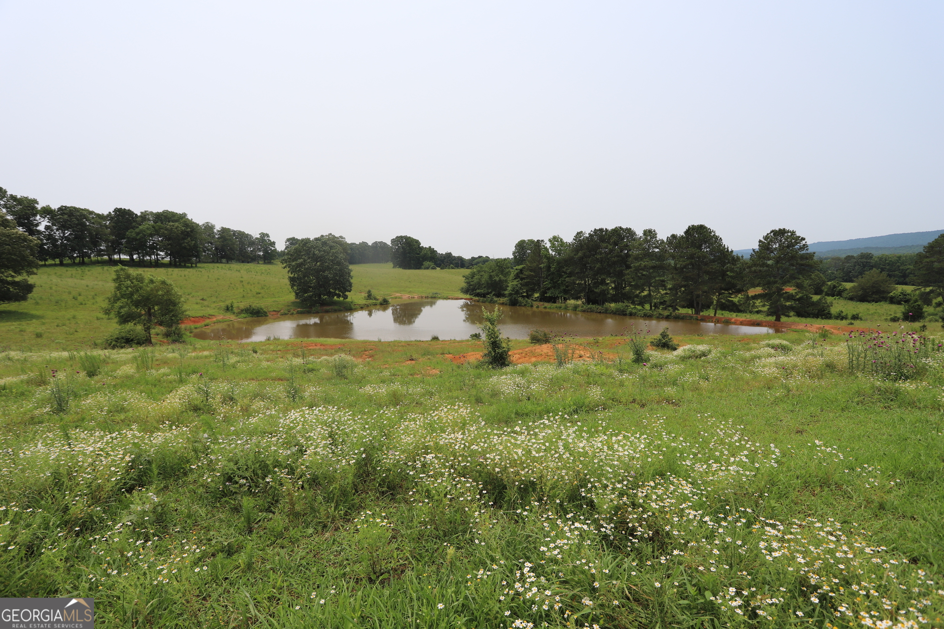 0 Co Road Gaylesville, AL 35973 - Photo 71 of 81 a view of a lake with houses in the back