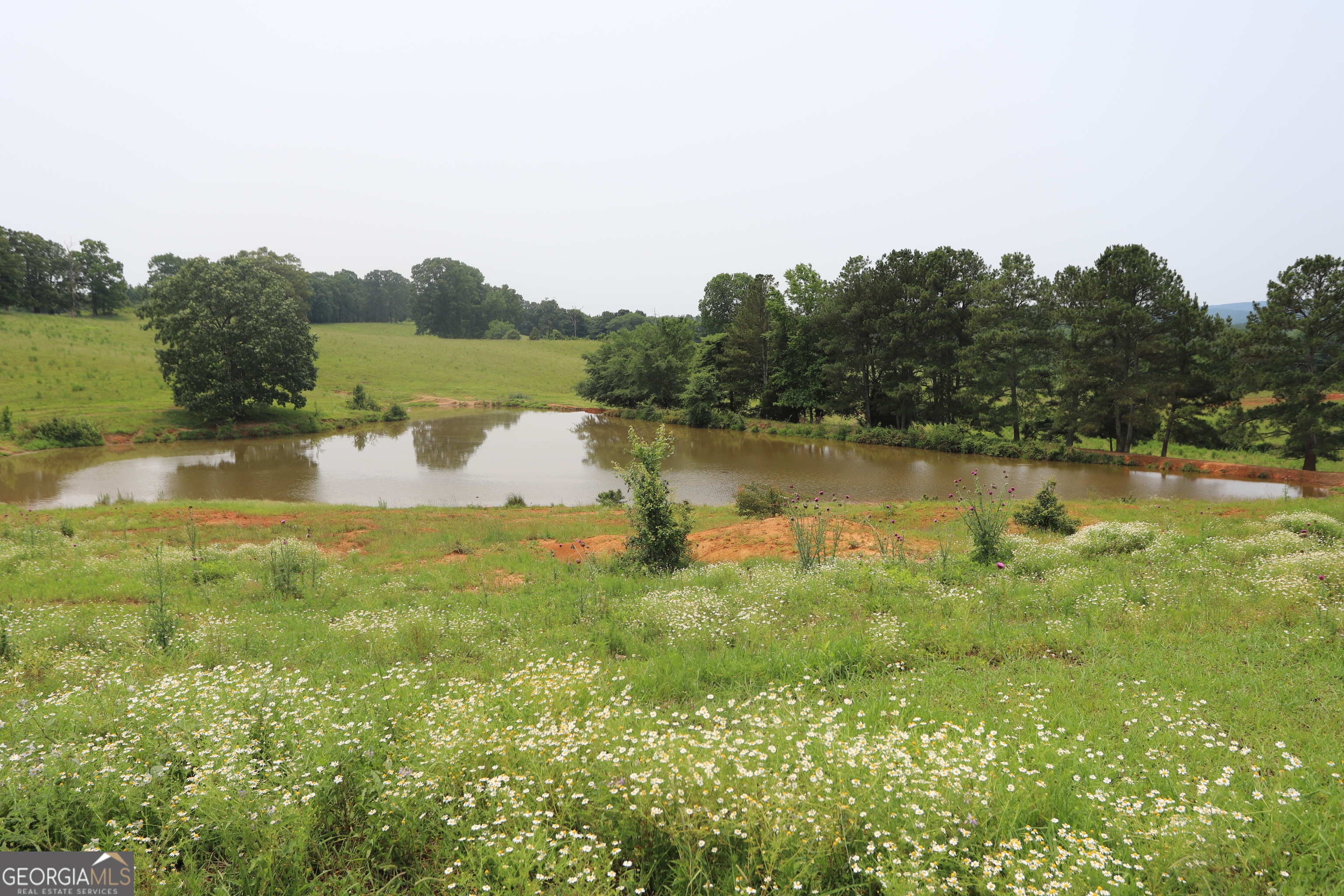 0 Co Road Gaylesville, AL 35973 - Photo 72 of 81 a view of a lake with houses in the back