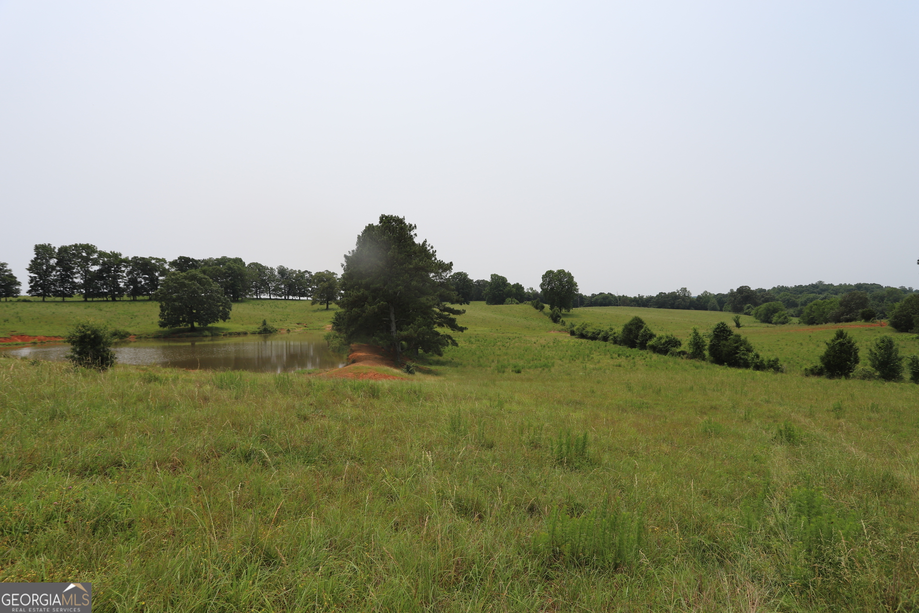 0 Co Road Gaylesville, AL 35973 - Photo 74 of 81 a view of a lake with houses in the back