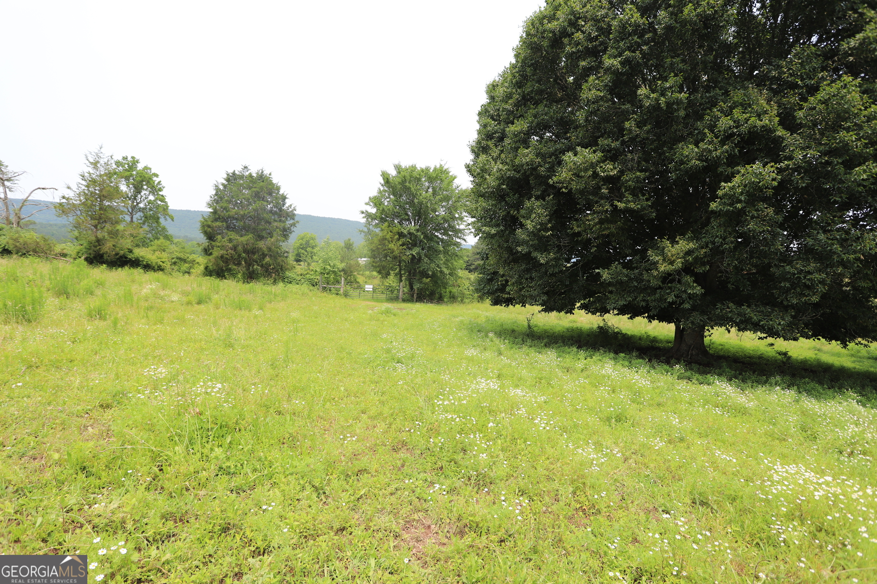 0 Co Road Gaylesville, AL 35973 - Photo 75 of 81