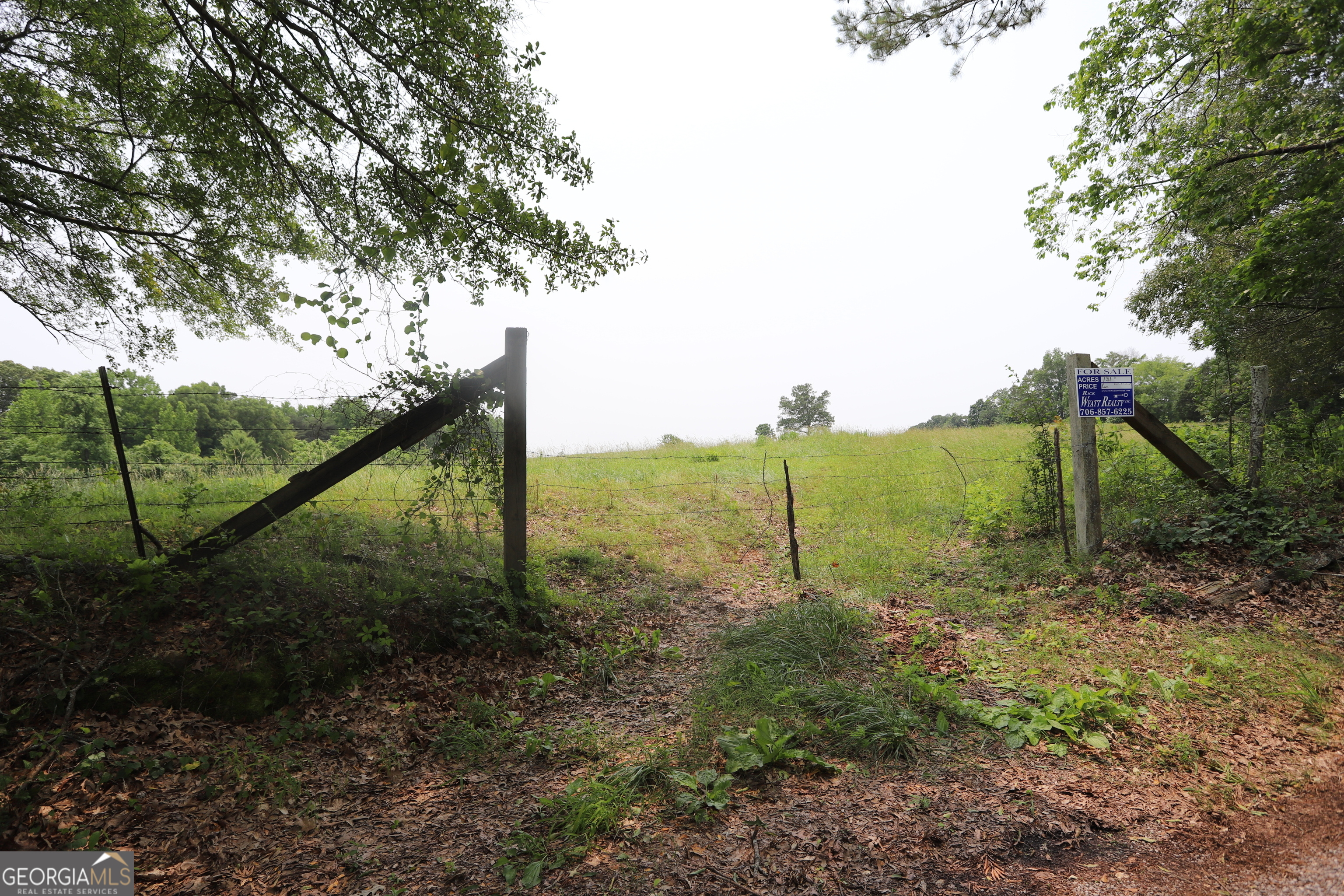 0 Co Road Gaylesville, AL 35973 - Photo 76 of 81