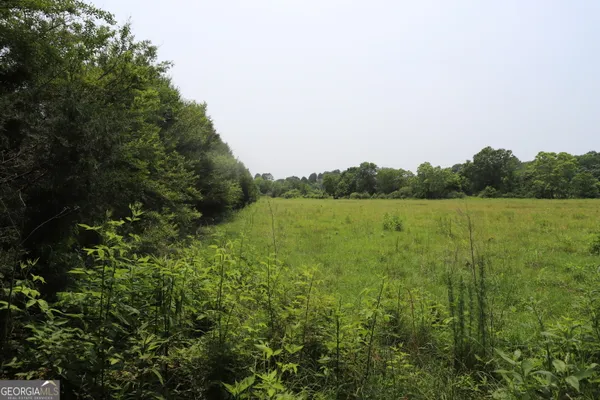 $850,000 | 0 Co Road, Gaylesville, AL 35973