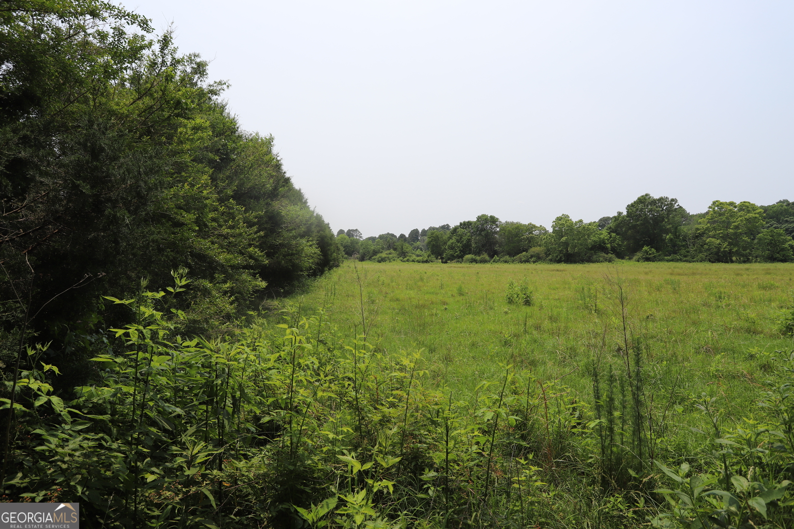 0 Co Road Gaylesville, AL 35973 - Photo 77 of 81 a view of a field with an ocean view