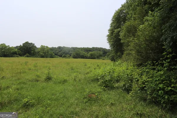 $850,000 | 0 Co Road, Gaylesville, AL 35973