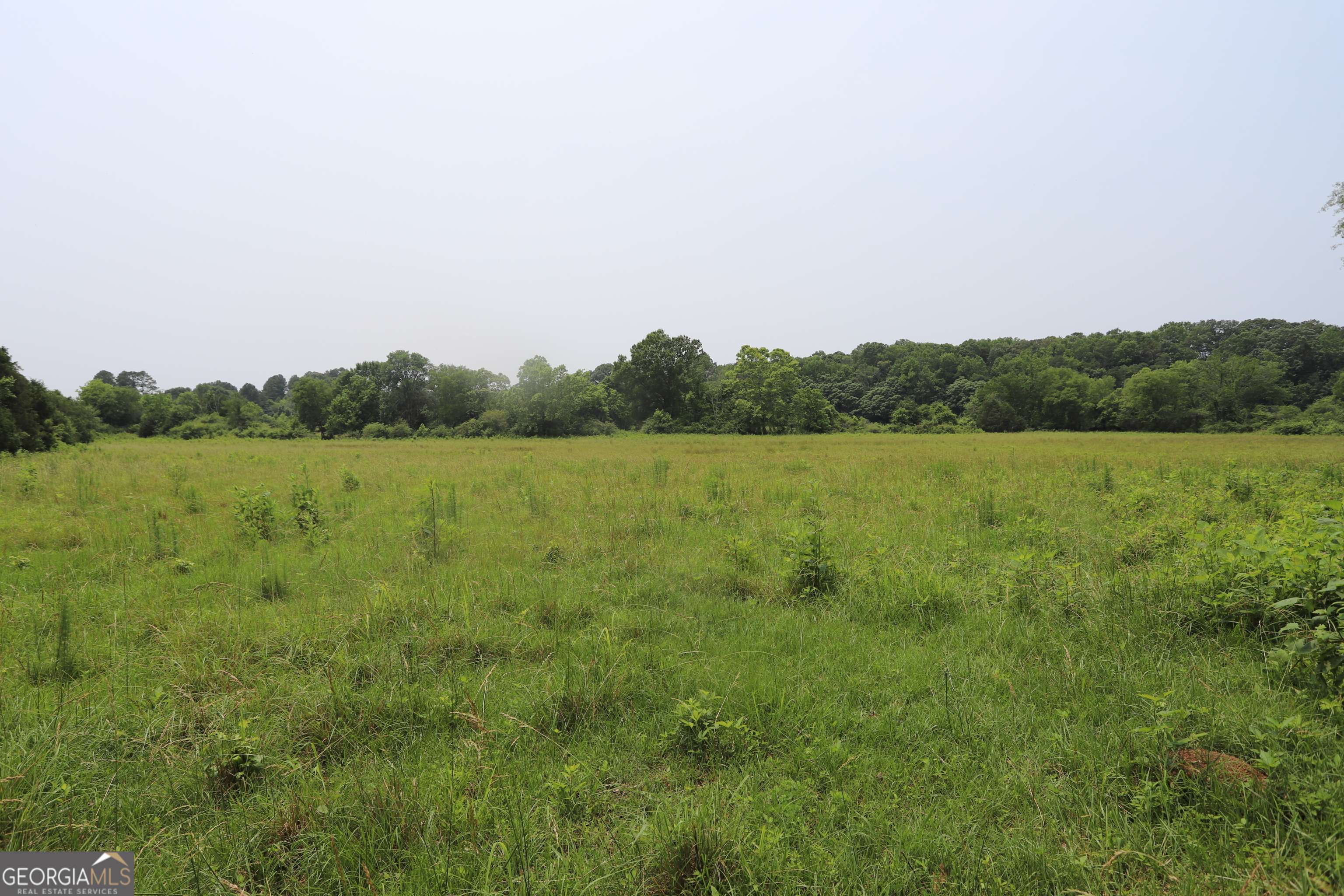 0 Co Road Gaylesville, AL 35973 - Photo 79 of 81 a view of a field with trees in the background
