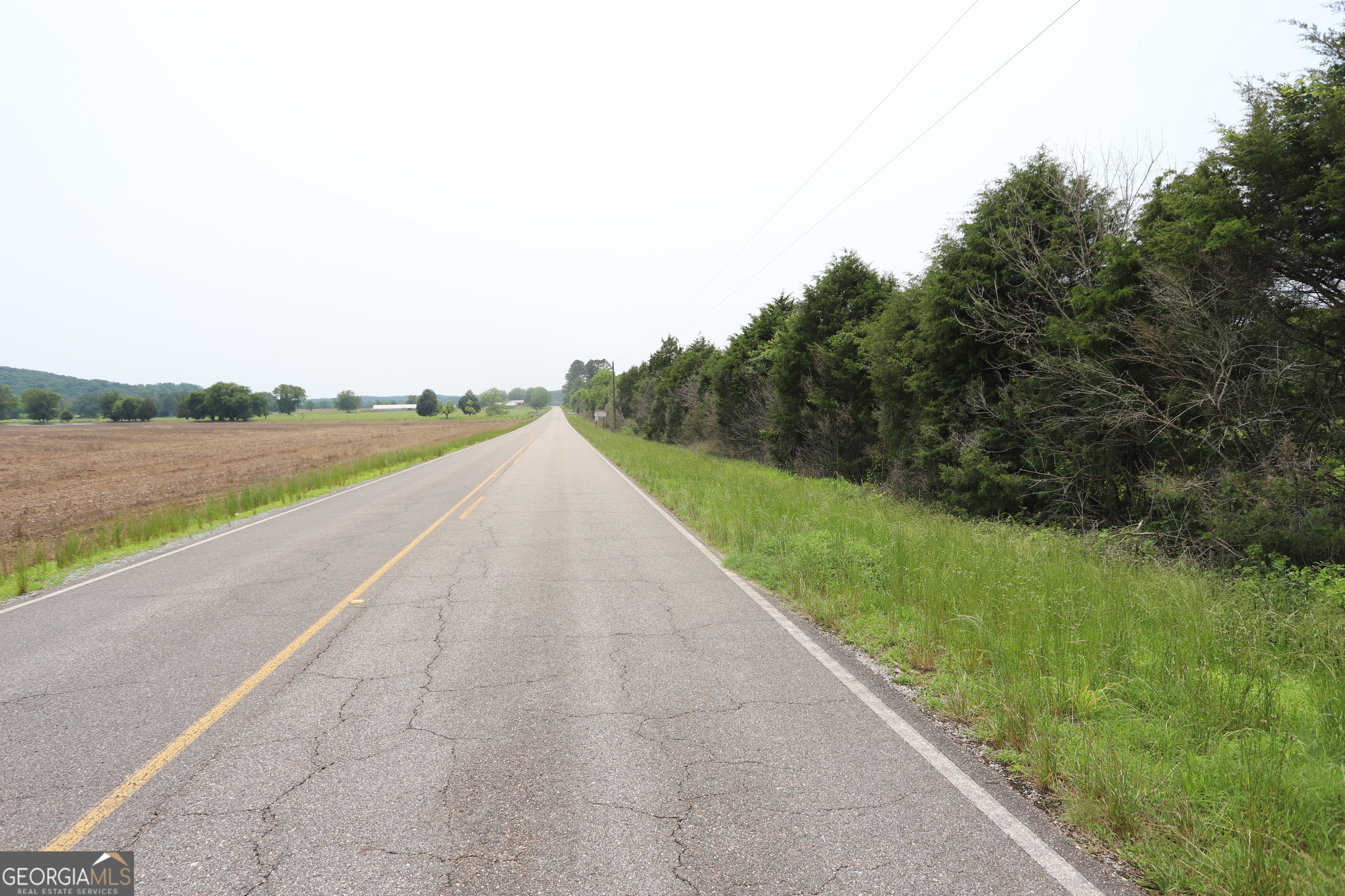 0 Co Road Gaylesville, AL 35973 - Photo 80 of 81