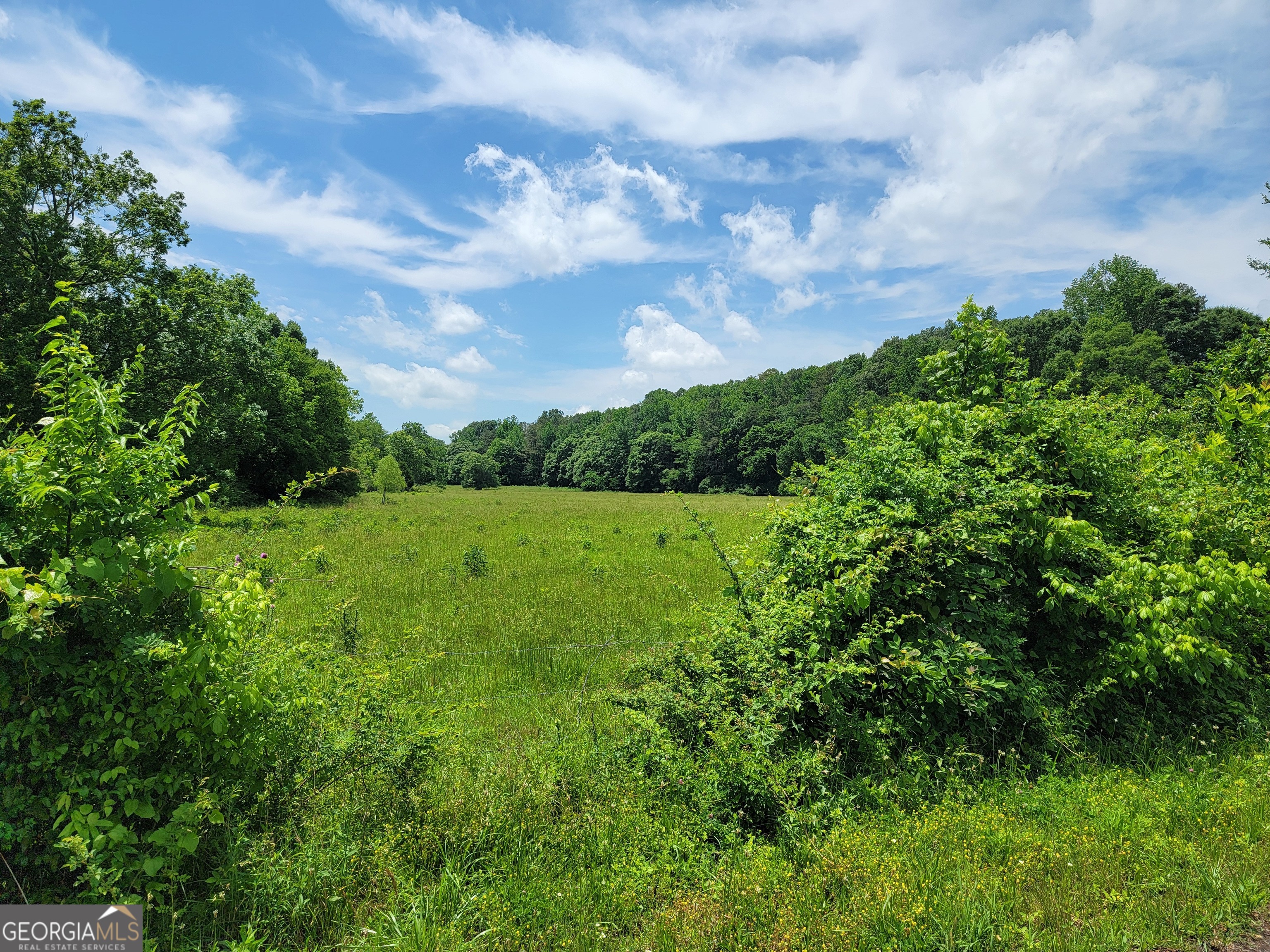0 Co Road Gaylesville, AL 35973 - Photo 8 of 81 a view of a city street lush green space
