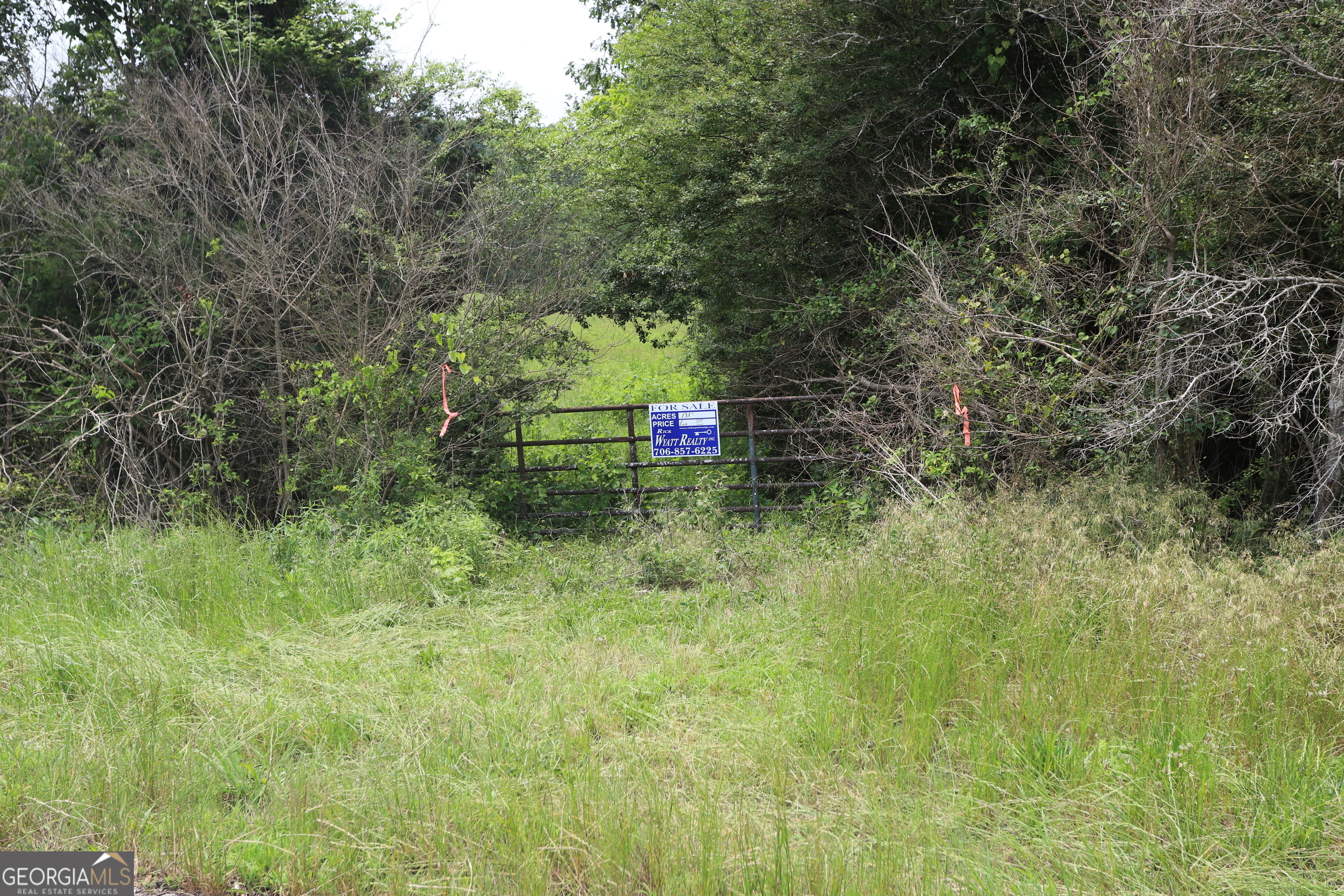 0 Co Road Gaylesville, AL 35973 - Photo 81 of 81