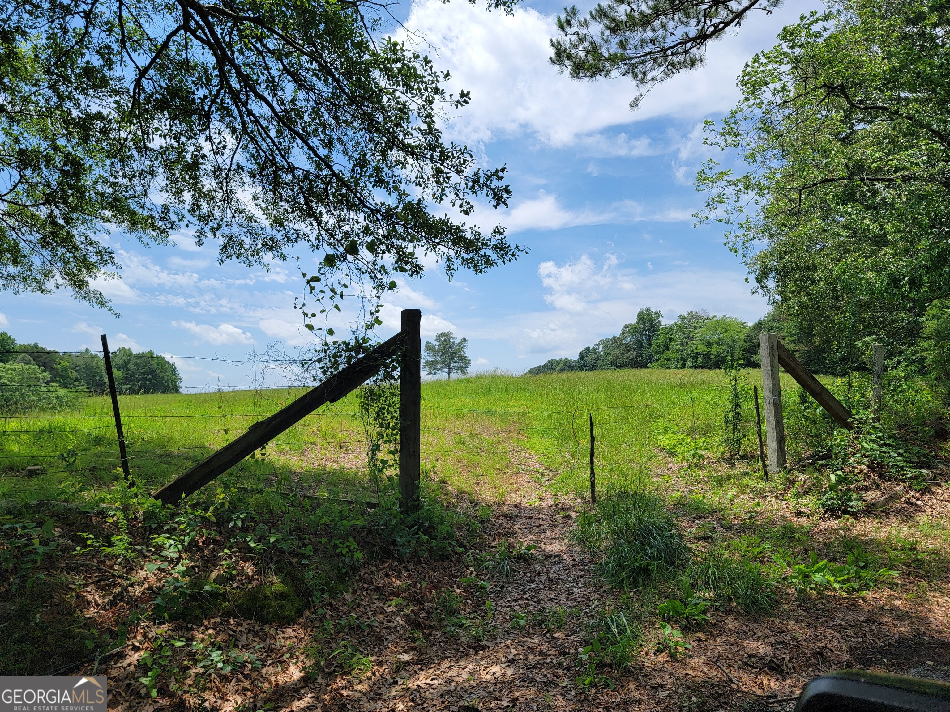 0 Co Road Gaylesville, AL 35973 - Photo 10 of 81 a view of a garden with a fountain