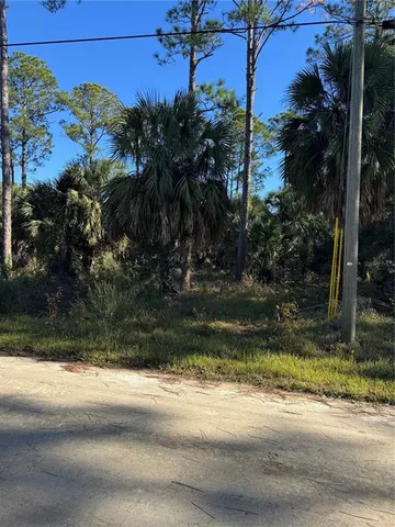 a view of street along with trees