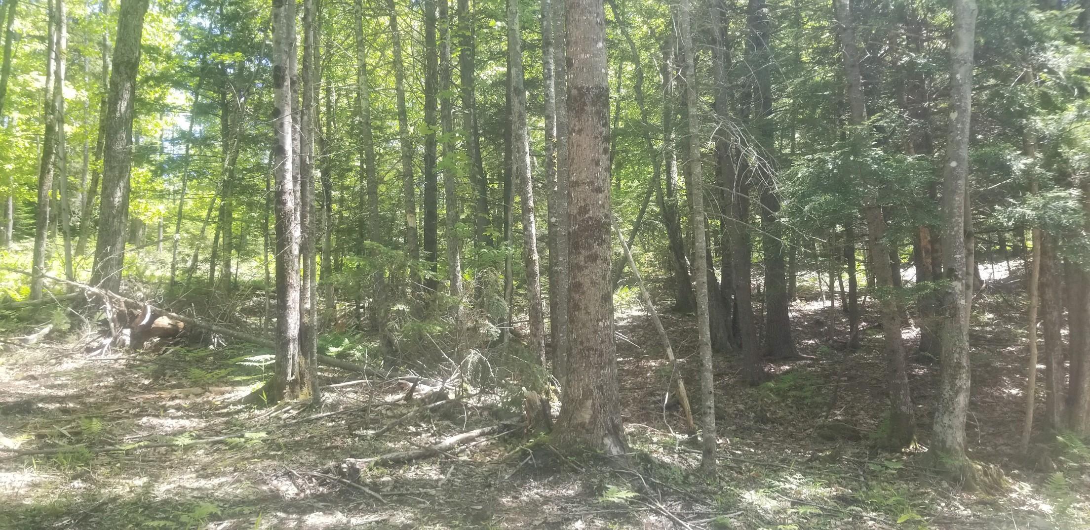 0 Maranacook Road Winthrop, ME 04364 - Photo 3 of 6 11119-MMS-1560266331477-attachment1-2019