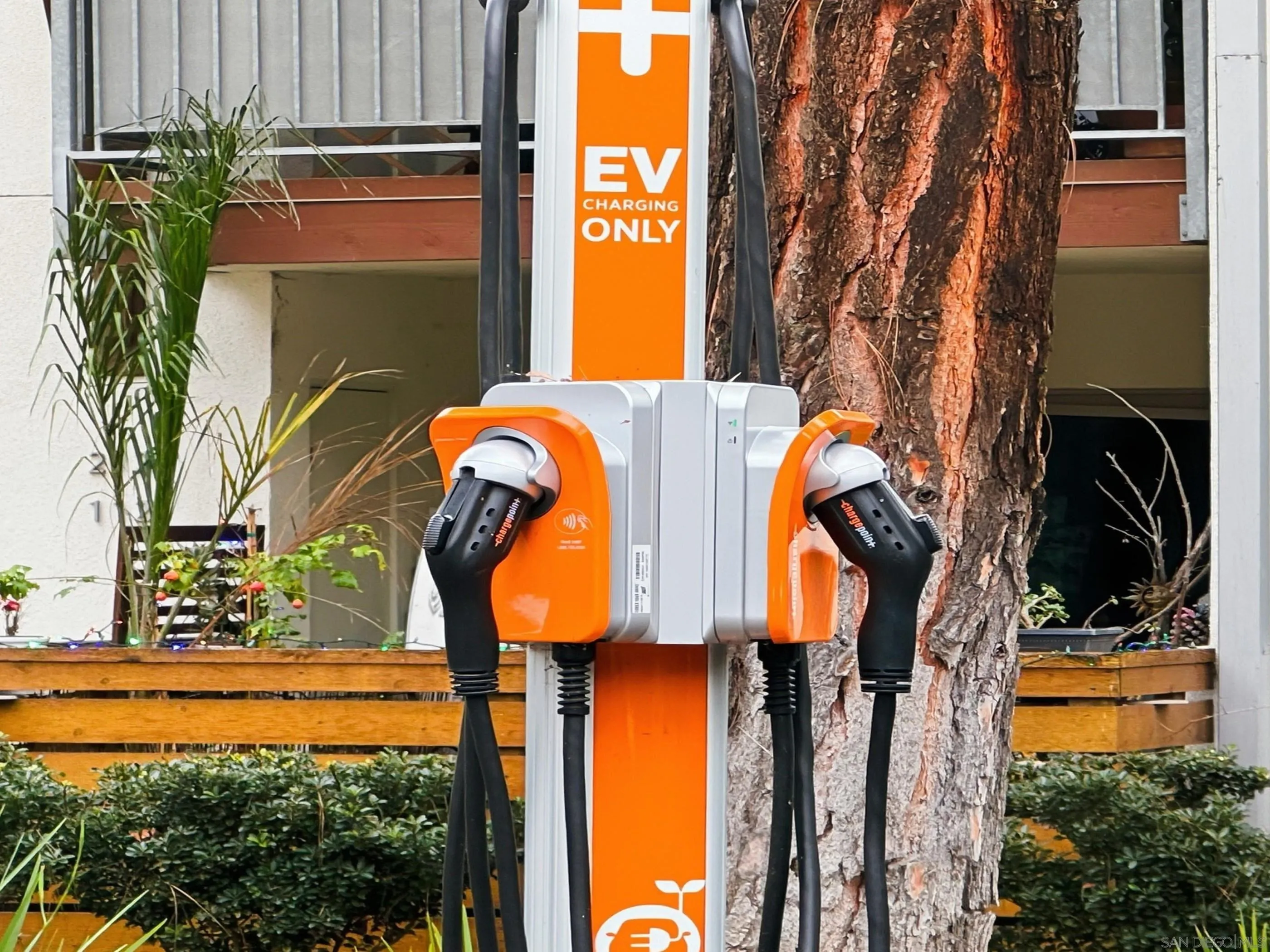 1810 South El Camino Real, Unit 101 Encinitas, CA 92024 - Photo 35 of 39 a close up of a fireplace with a potted plant