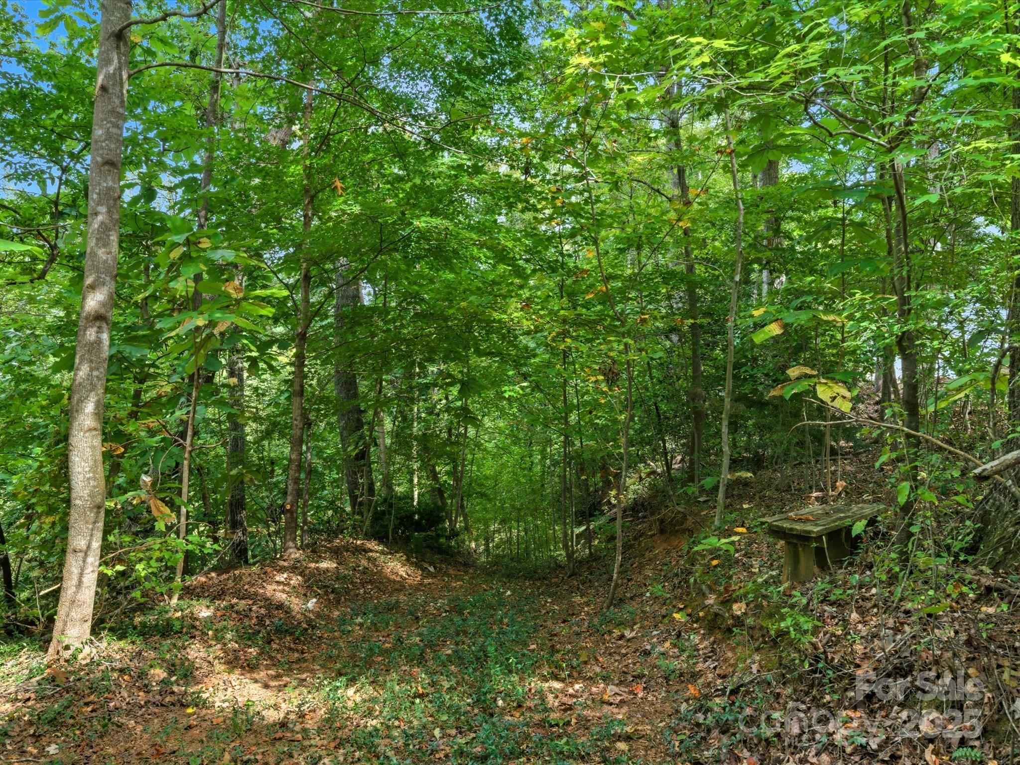 240 Petty Road Gastonia, NC 28056 - Photo 34 of 48 a view of a garden