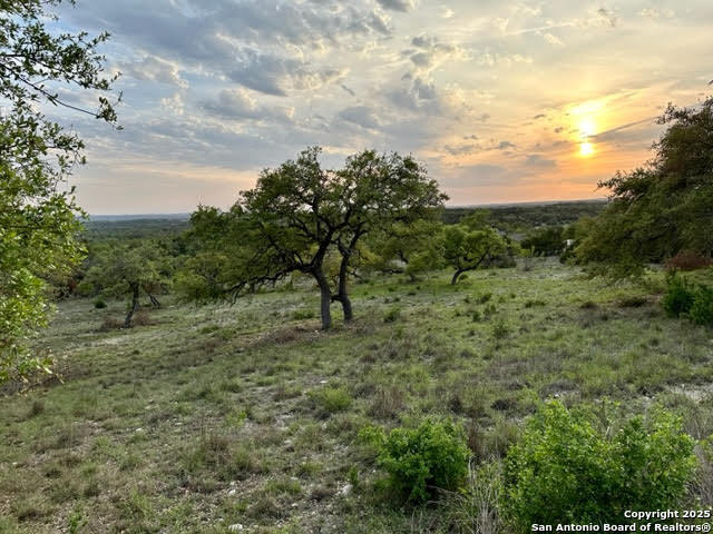 1074 Madrone Road Fischer, TX 78623 - Photo 11 of 12 a view of a field with plants and trees