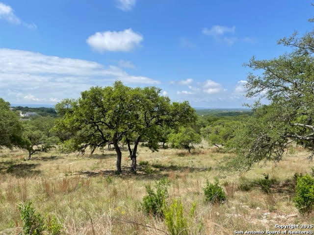 1074 Madrone Road Fischer, TX 78623 - Photo 2 of 12 a view of a yard with a tree