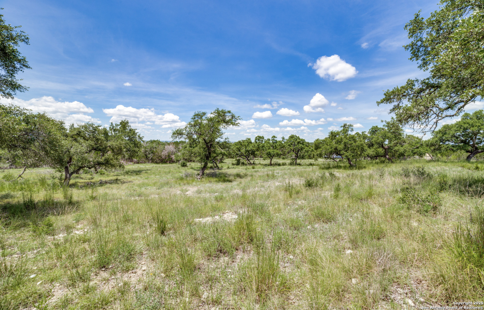 1074 Madrone Road Fischer, TX 78623 - Photo 4 of 12 a view of lake with green space