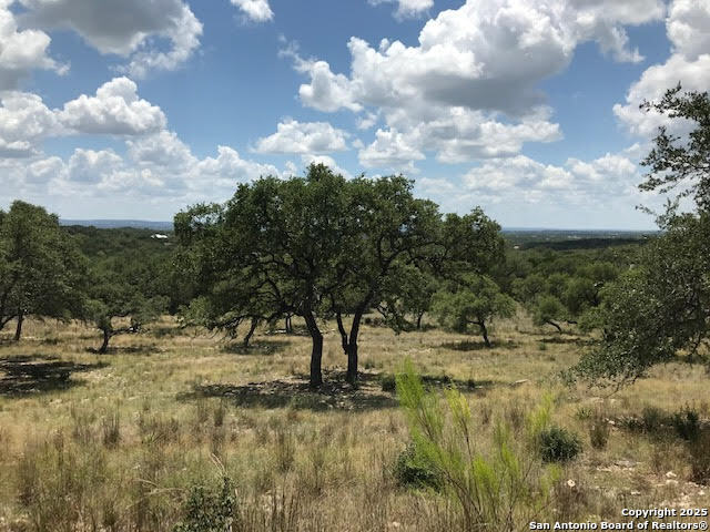 1074 Madrone Road Fischer, TX 78623 - Photo 7 of 12 a view of outdoor space with green space