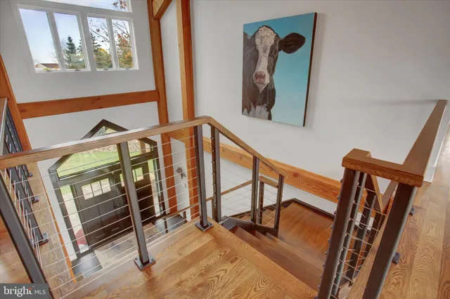 a view of a backyard with plants