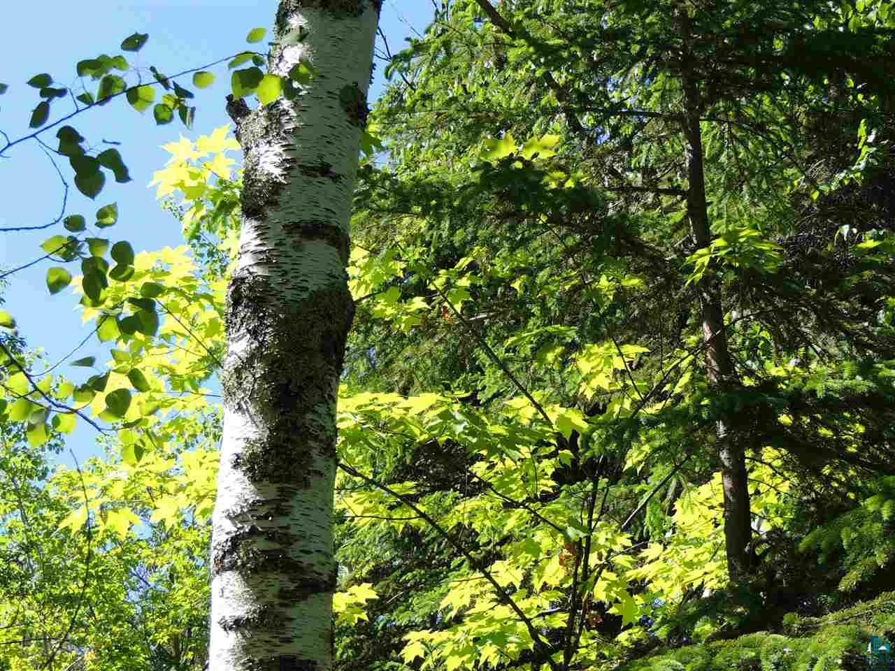 X44 Hansen Hjemsted Road Lutsen, MN 55612 - Photo 10 of 12 Gallery Image 10