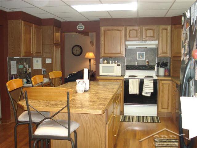 4465 North Graham Road Freeland, MI 48623 - Photo 8 of 18 20090906-7.JPG