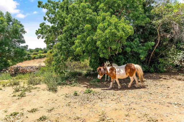 $742,000 | 2163 Gracey Lane, Fallbrook, CA 92028