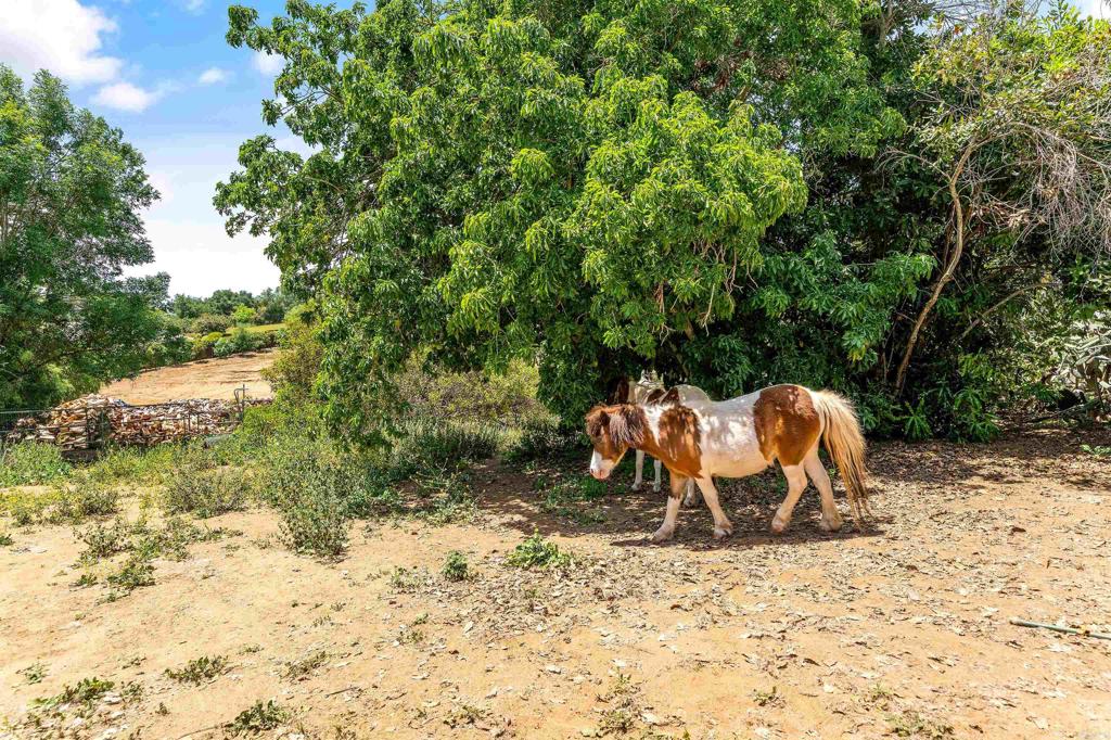 2163 Gracey Lane Fallbrook, CA 92028 - Photo 38 of 54