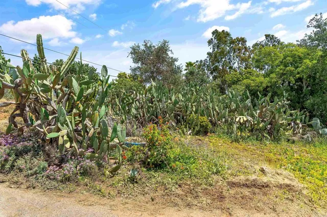 $742,000 | 2163 Gracey Lane, Fallbrook, CA 92028