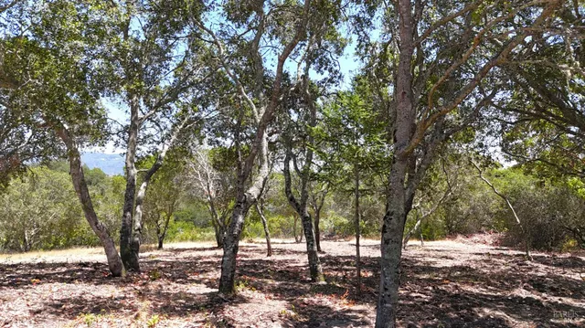 $2,295,000 | 6555-2 Enterprise Road, Glen Ellen, CA 95442