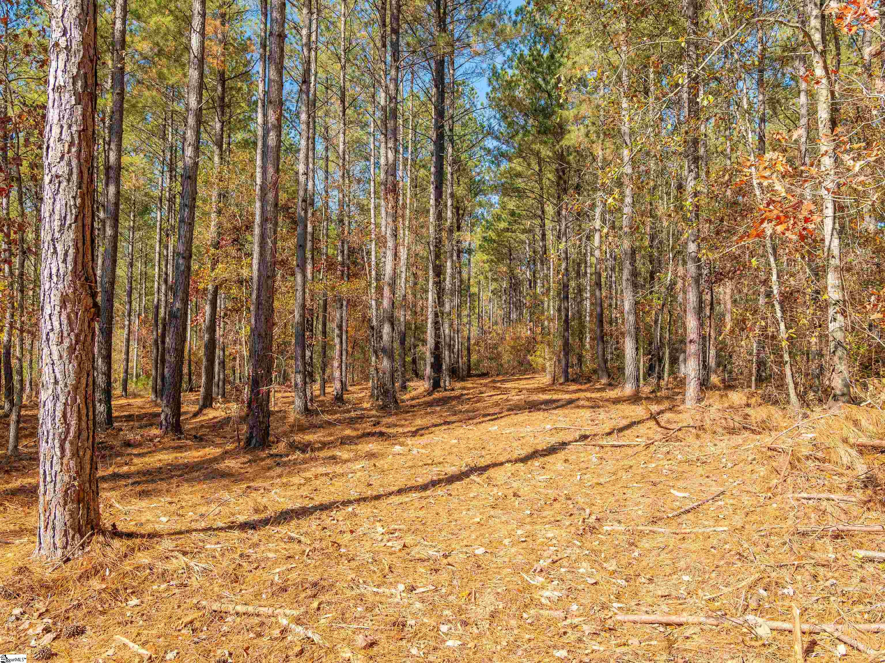 7 Mill Pine Road Liberty, SC 29657 - Photo 14 of 41 Gallery Image 14