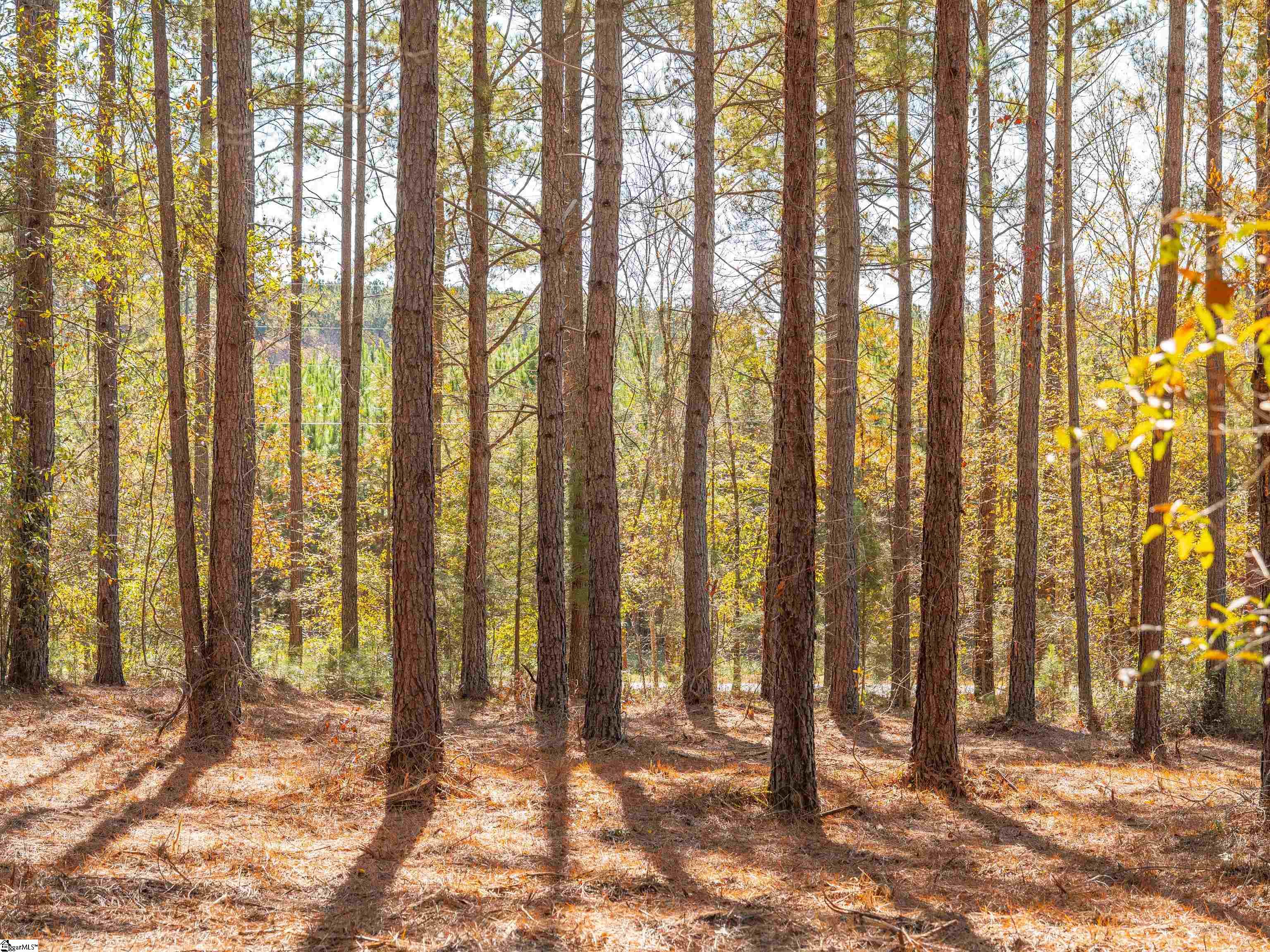 7 Mill Pine Road Liberty, SC 29657 - Photo 17 of 41 Gallery Image 17