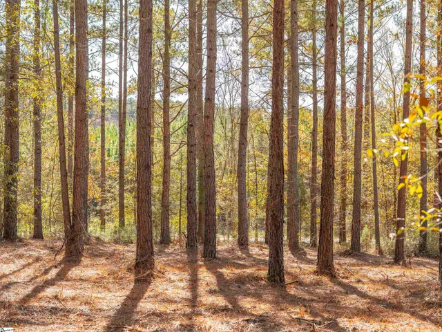 $199,999 | 7 Mill Pine Road, Liberty, SC 29657